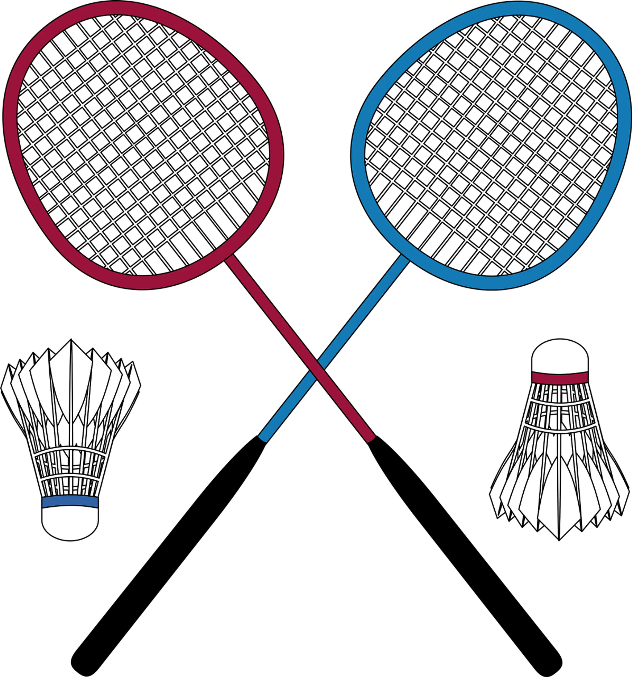 ASPC BADMINTON (Angers - Les ponts de cé)