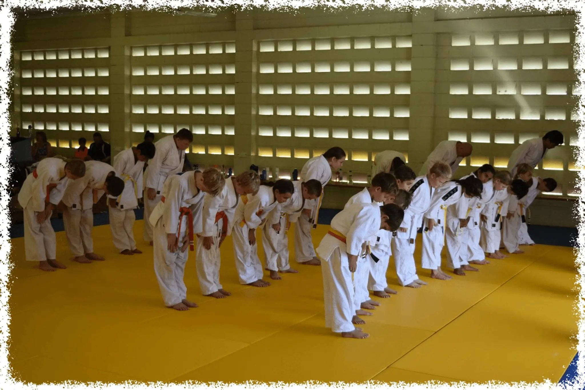 Cairns Southside Judo Club