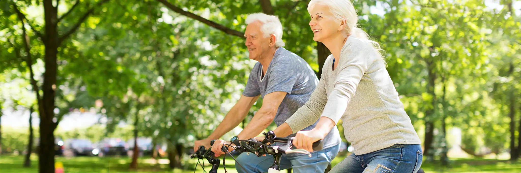 Waverley Life Activities Club Inc