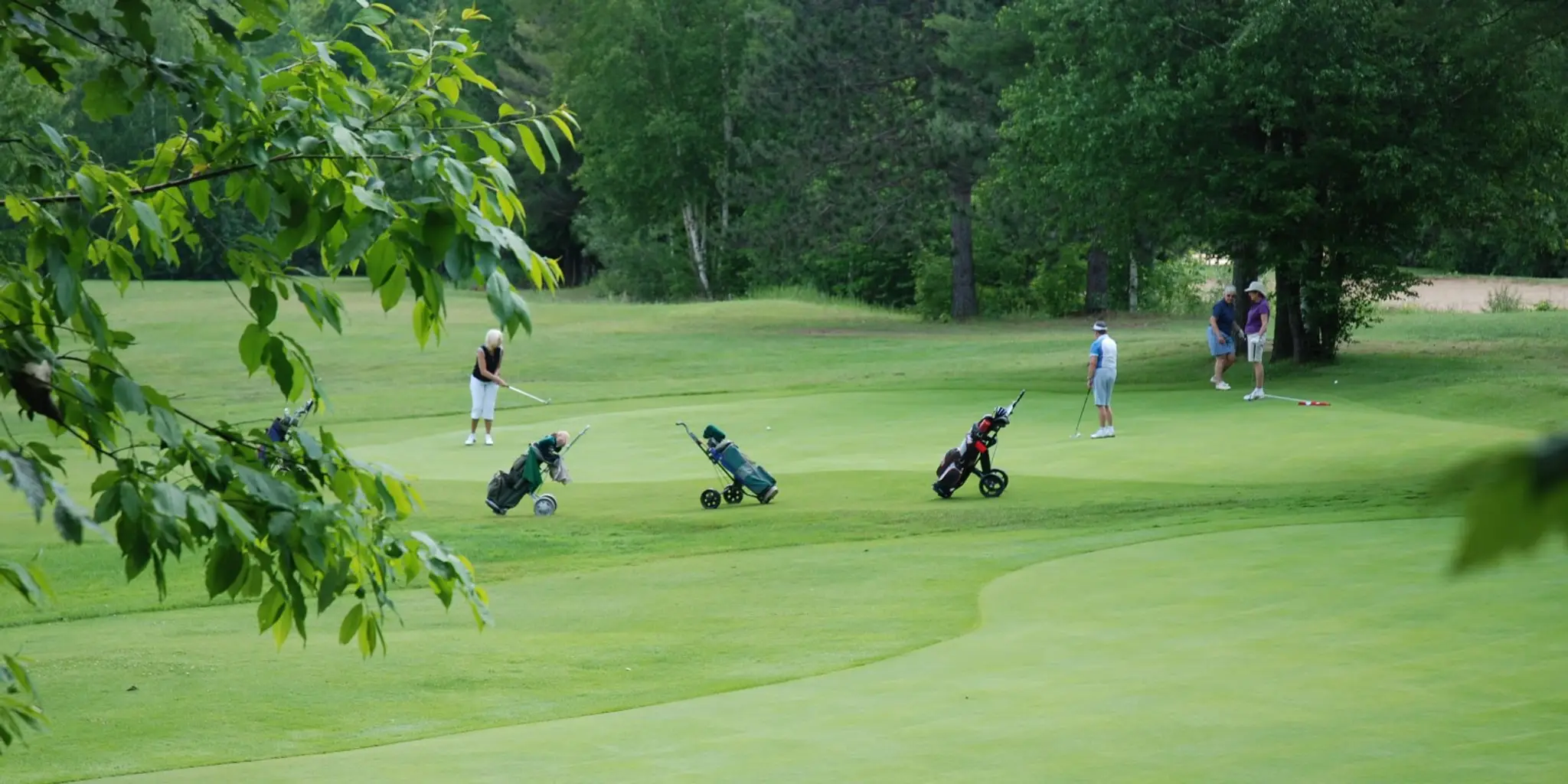 The Wilds at Cedar Valley Golf Course