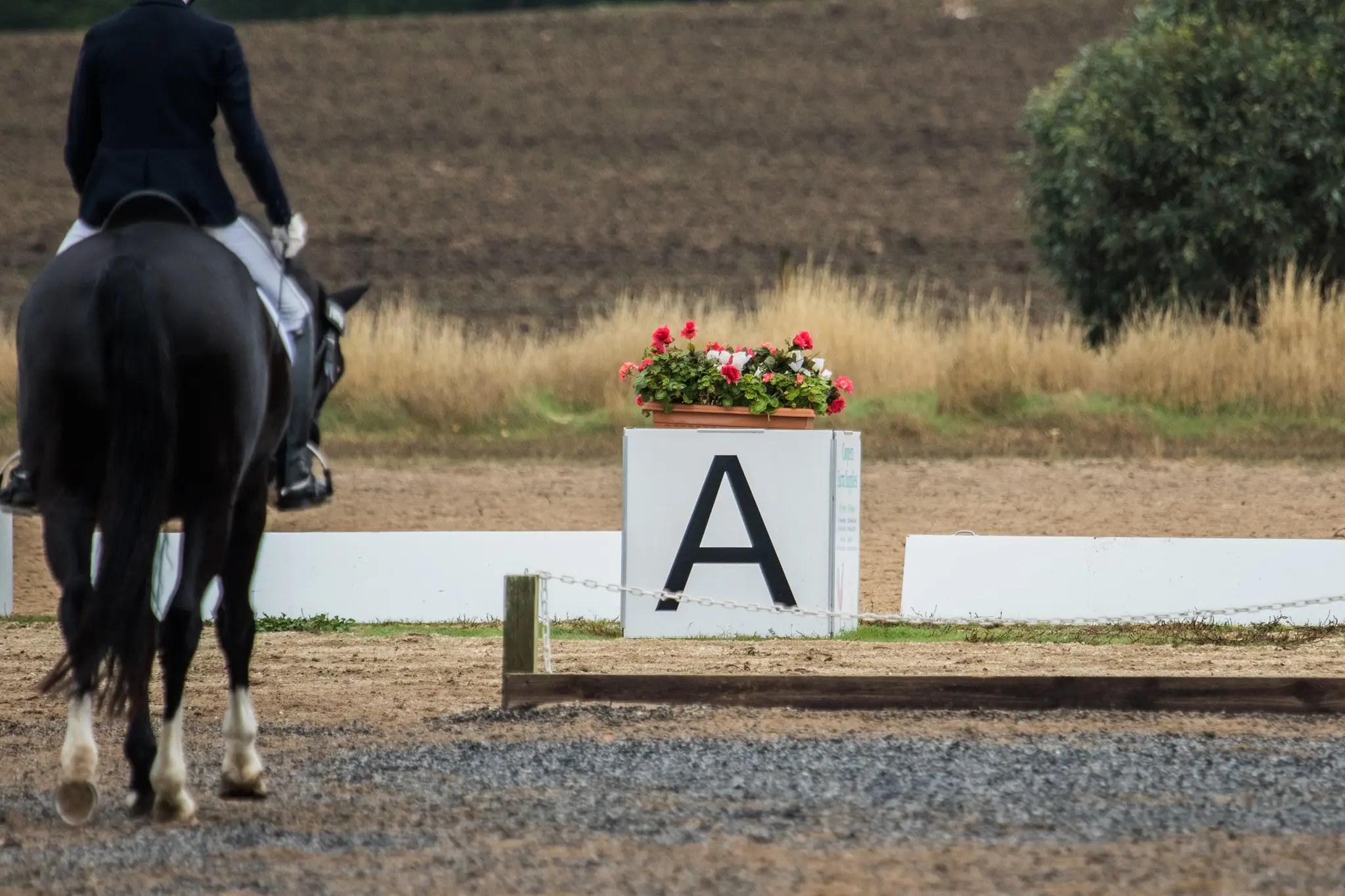 Mount Crawford Dressage Club