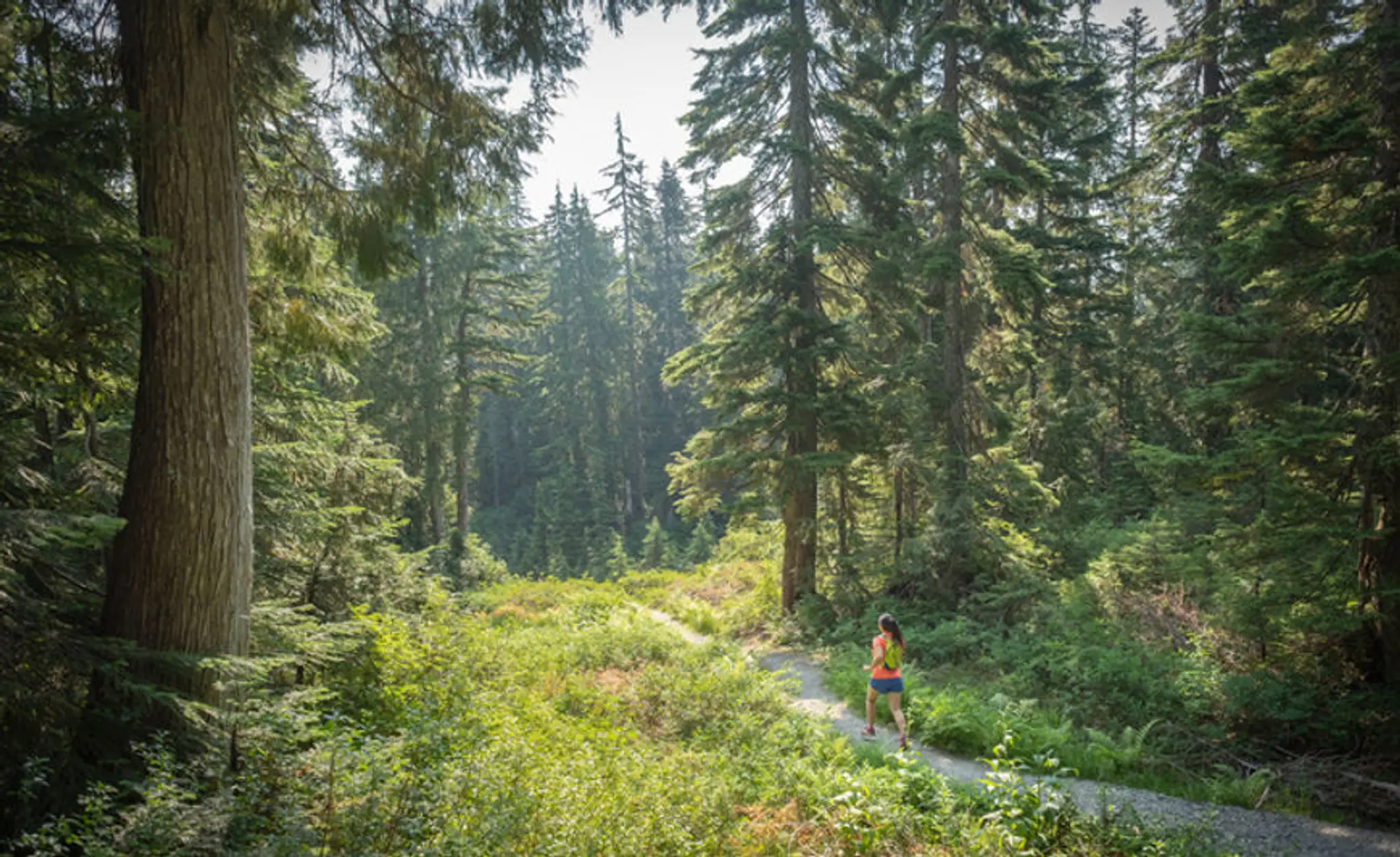 Aurlie Collette Naturopathe du sport