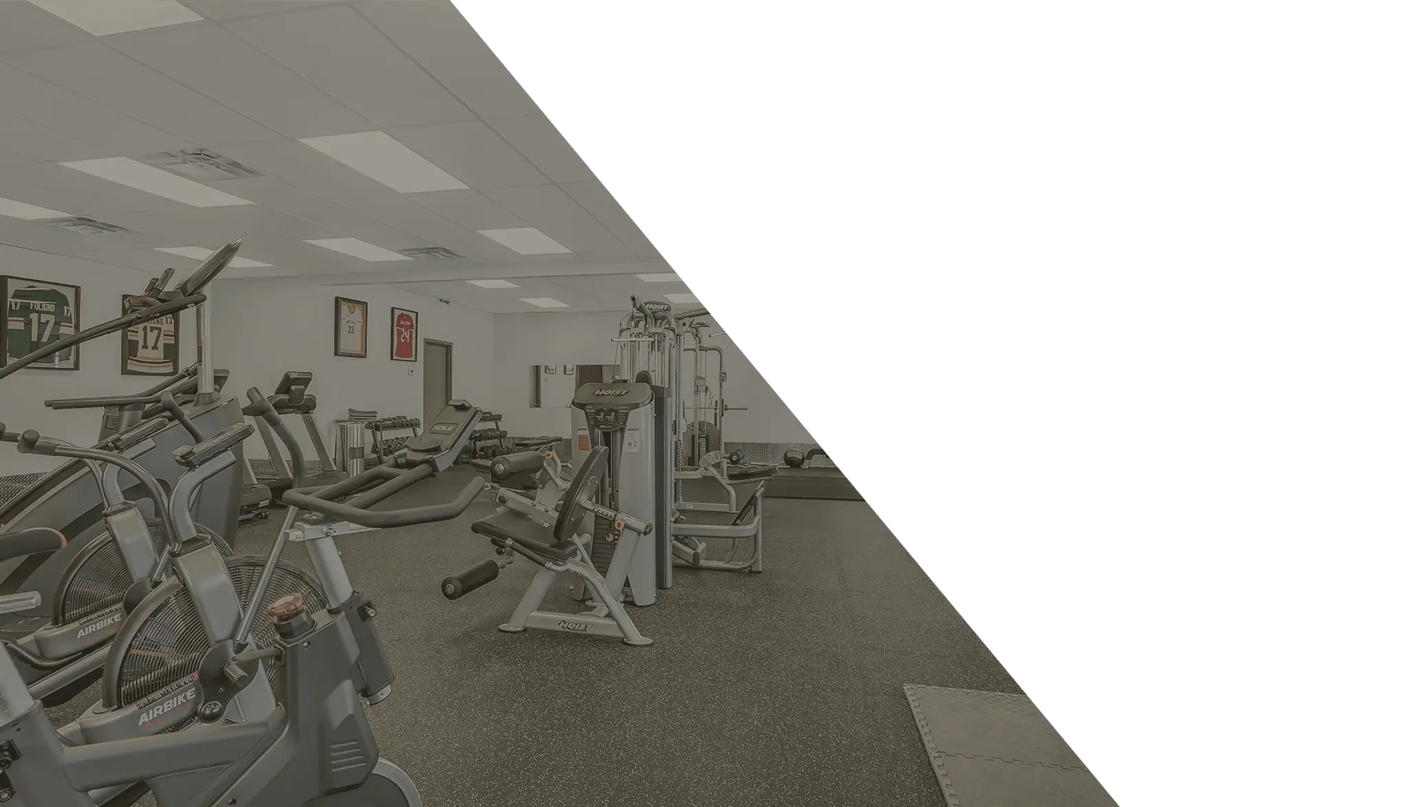 Healthy Living Elite Training + Dynamic Fitness Centre