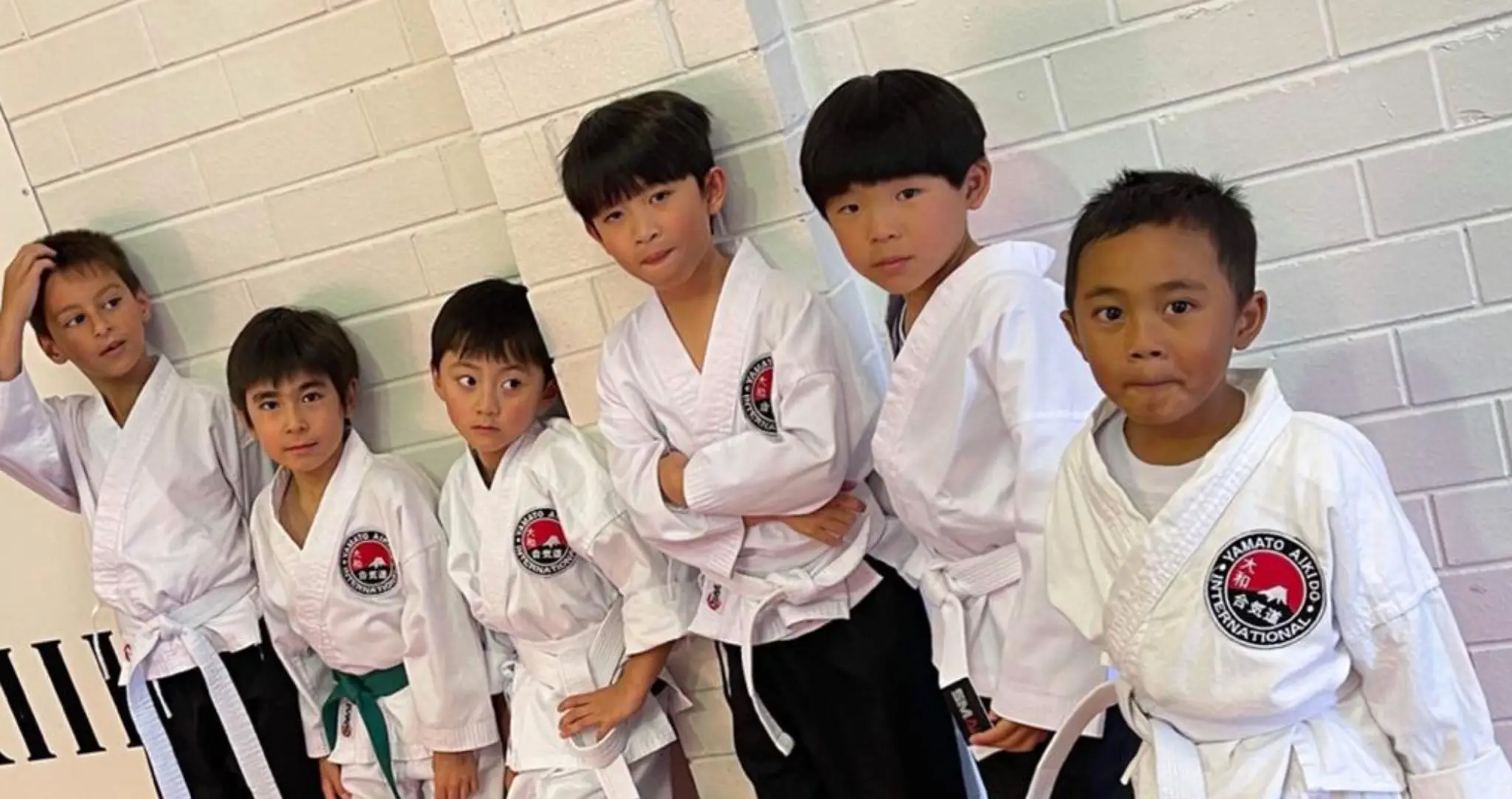 Yamato Aikido International