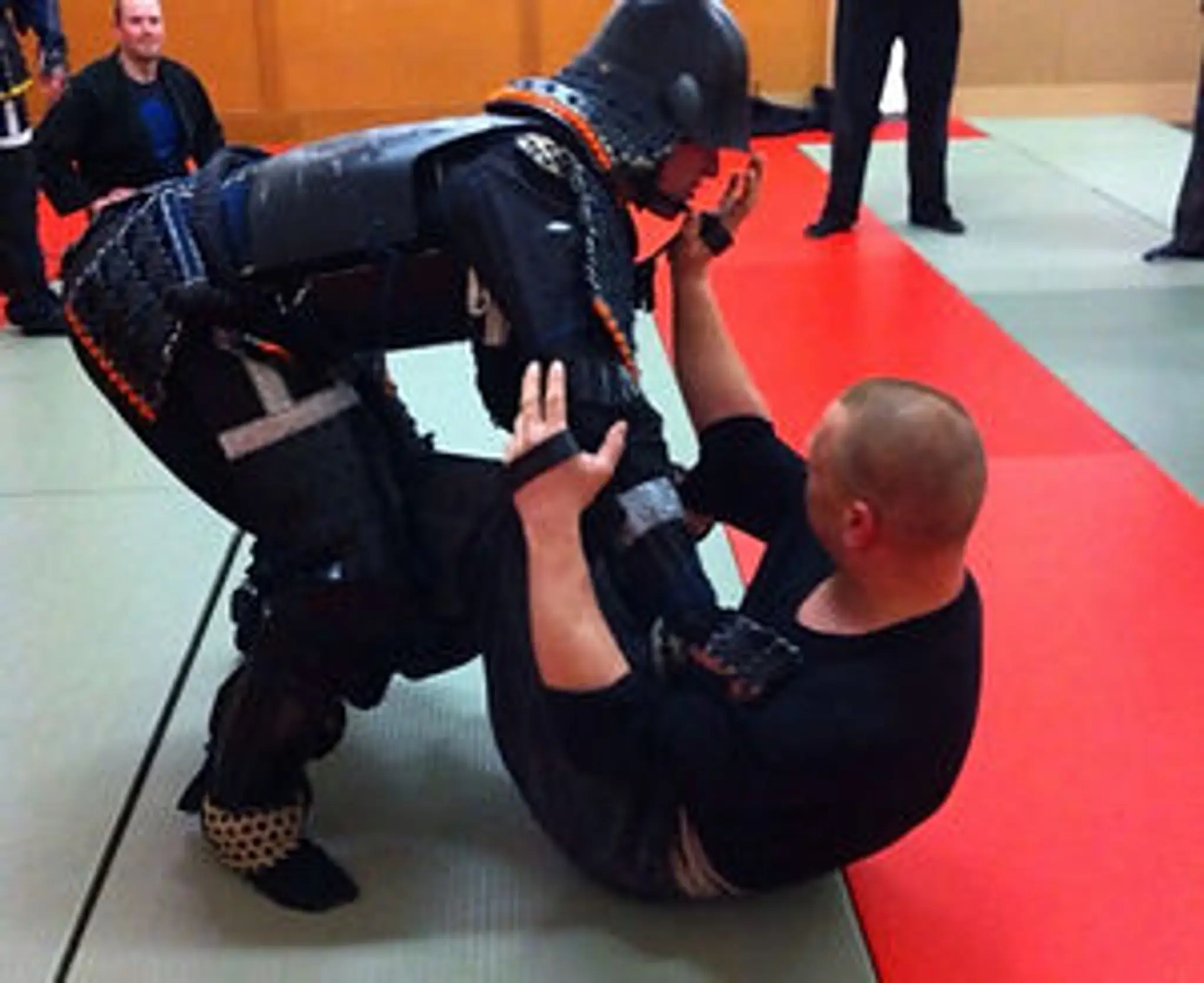 Bujinkan Dwyer Dojo