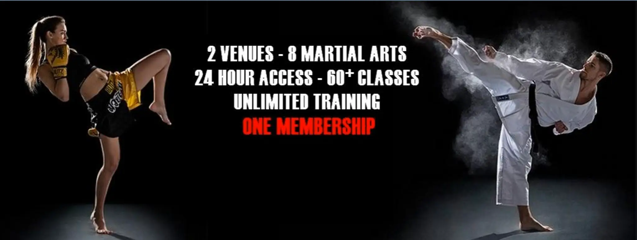 The Martial Arts Academy