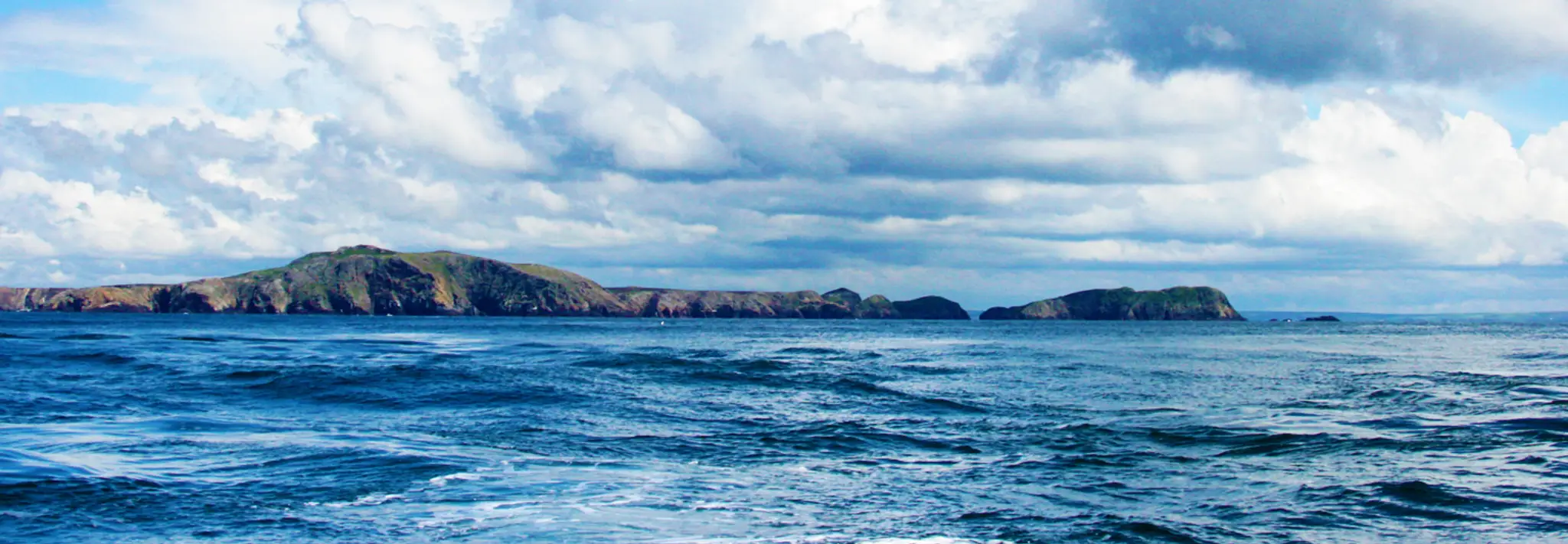 Blue Shark Charters Ltd