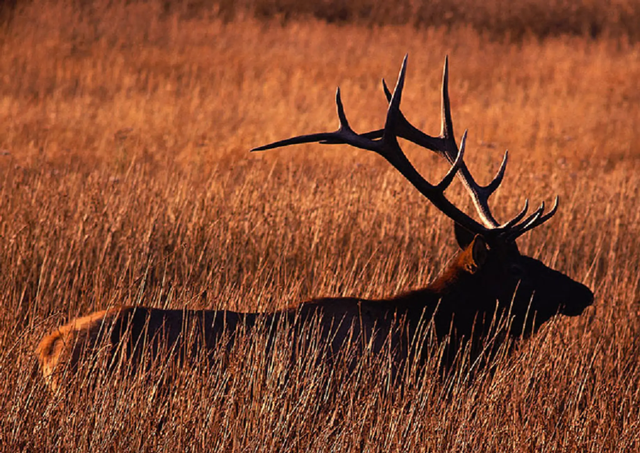 No 1 Archery & Sports