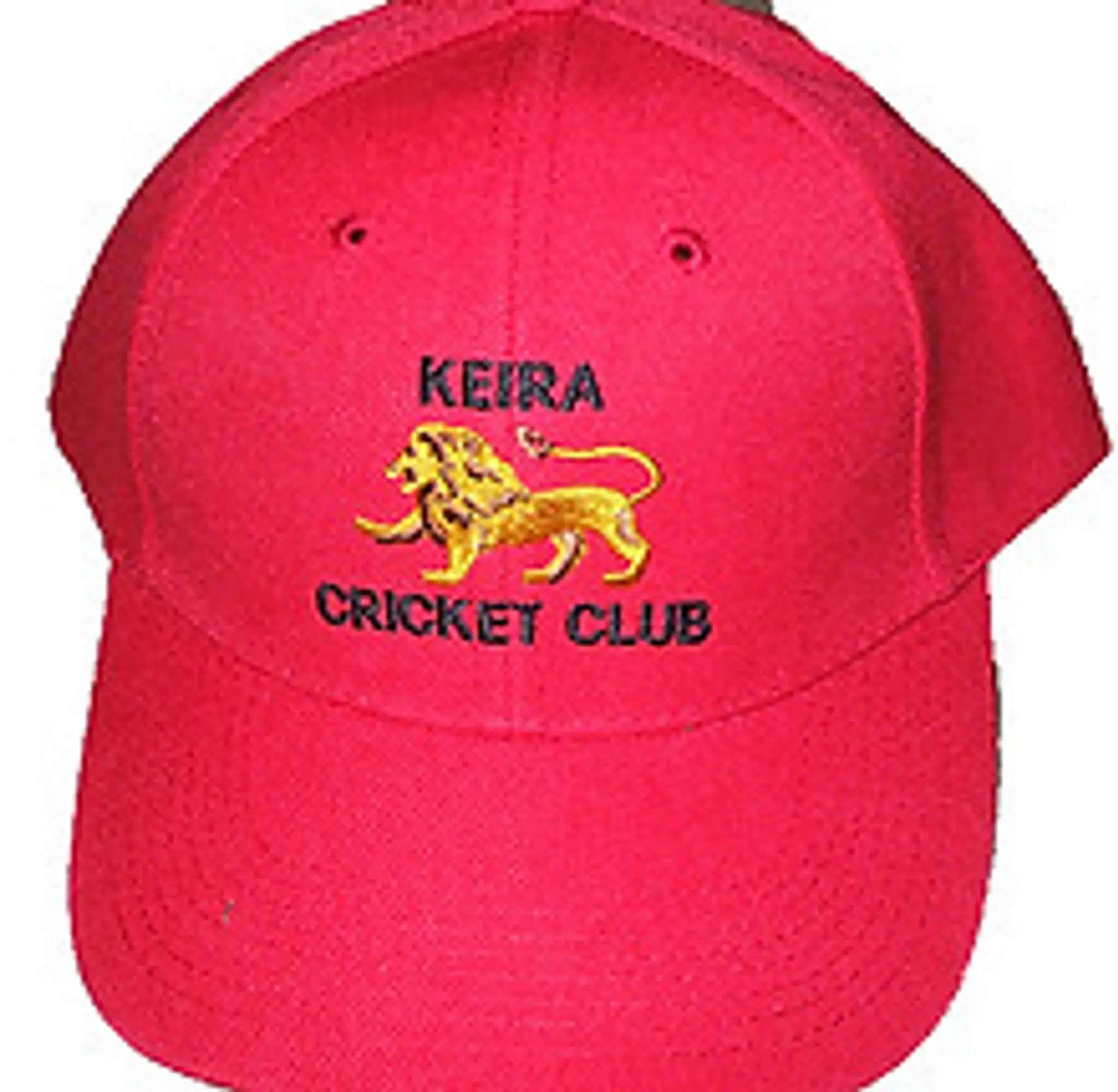 Keira Cricket Club | Home of the Keira Lions