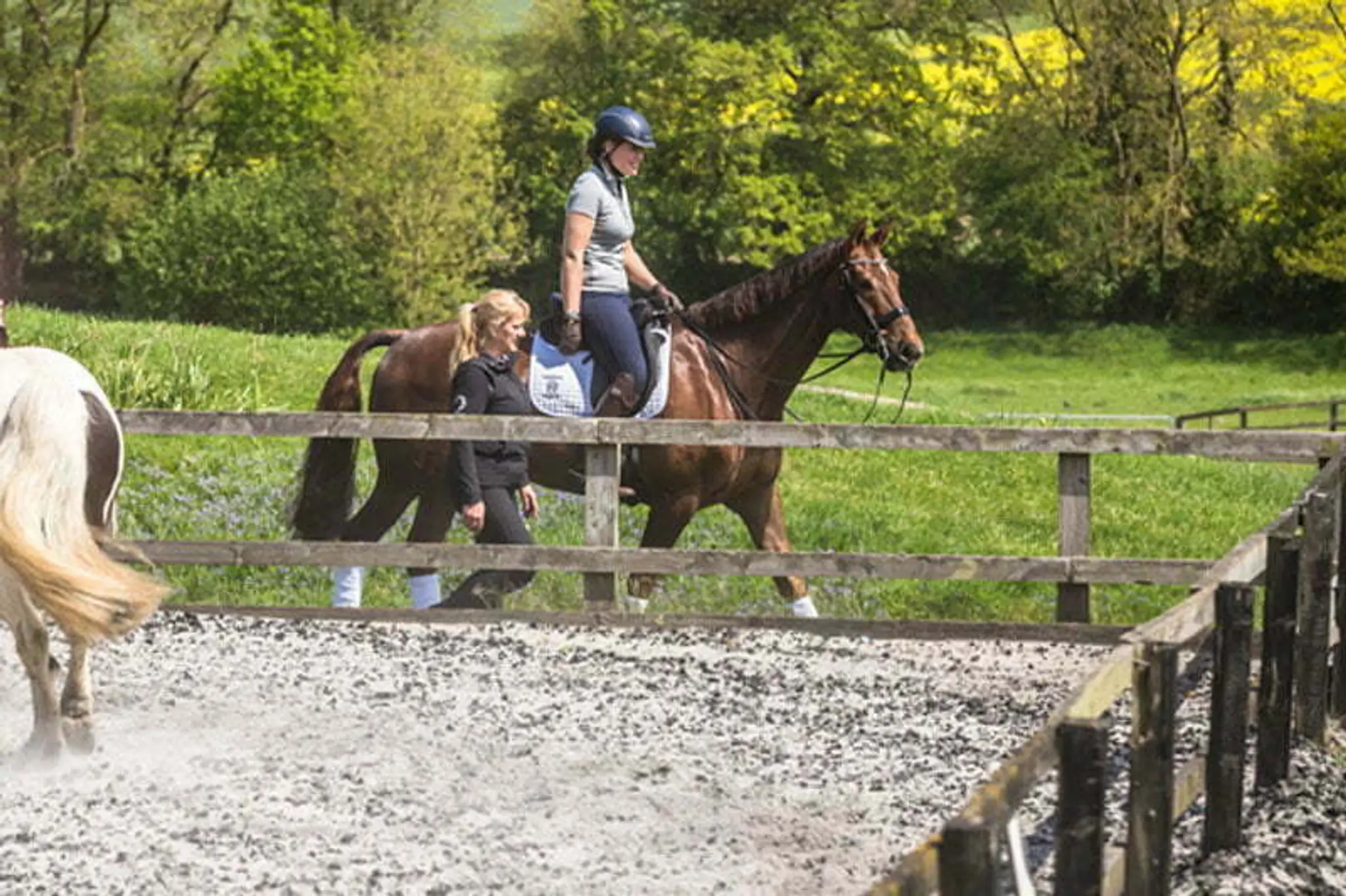 Hallingbury Hall Equestrian Centre