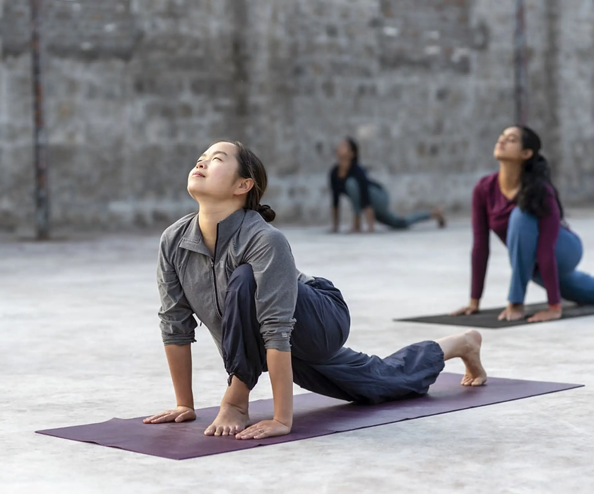 Classical Hatha Yoga Teachers of Ontario