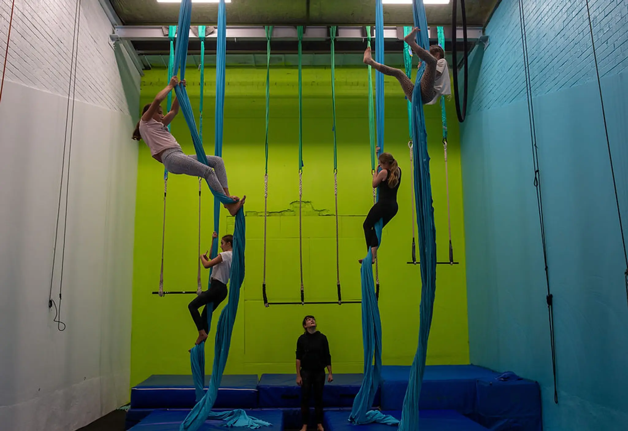 Treetop Arts: Gymnastics Programs