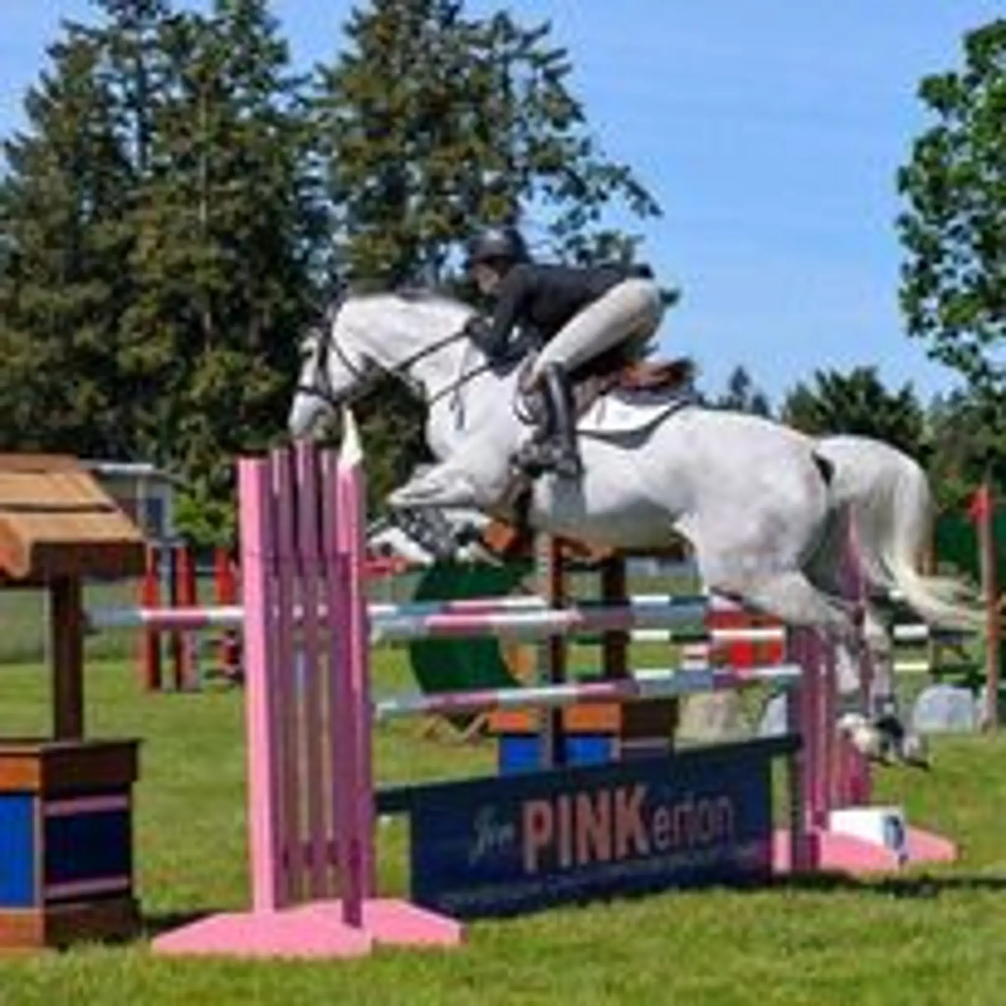 Pink Coat Equestrian | Riding Lessons and Board Victoria BC