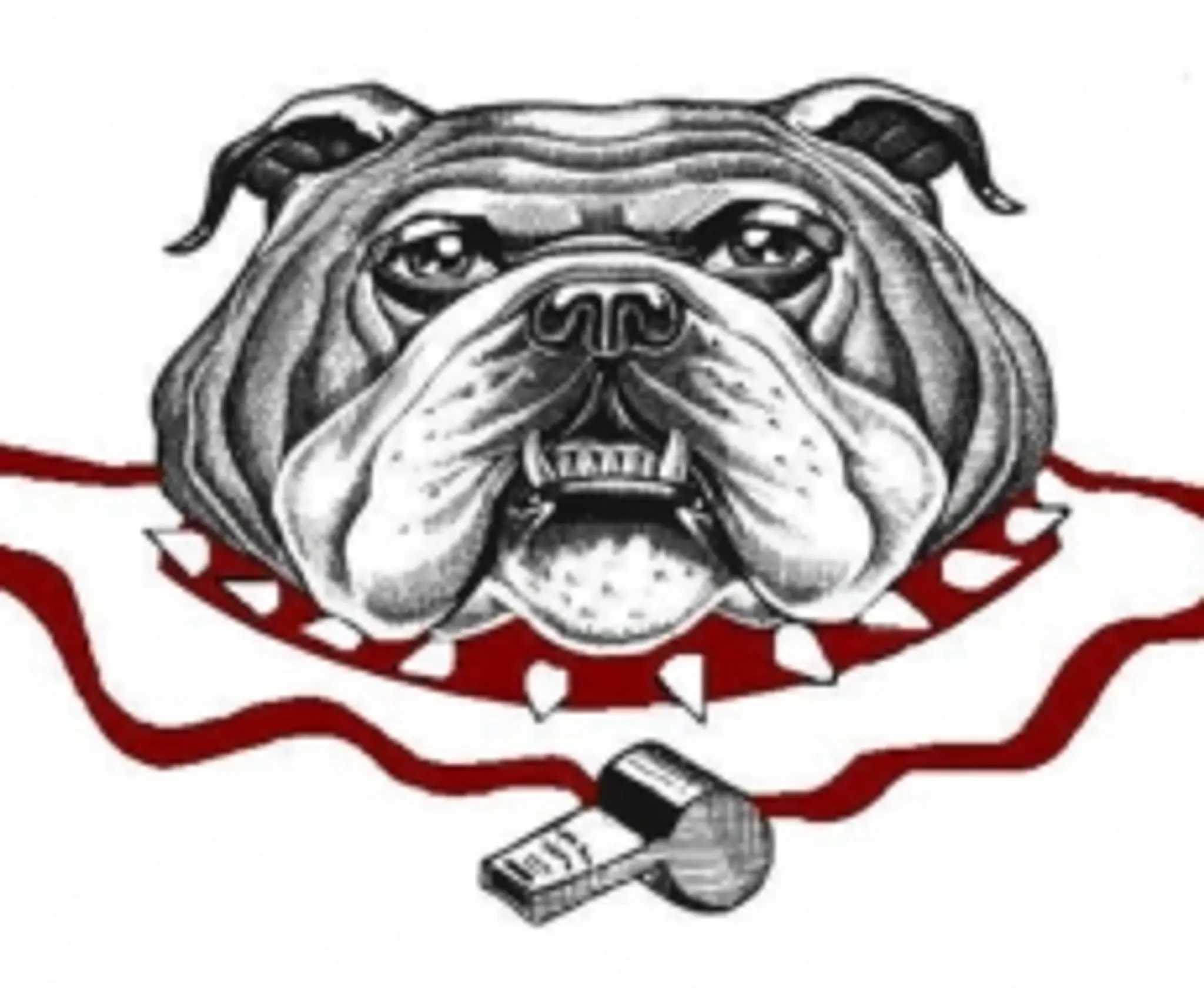 WRFL Umpires Association