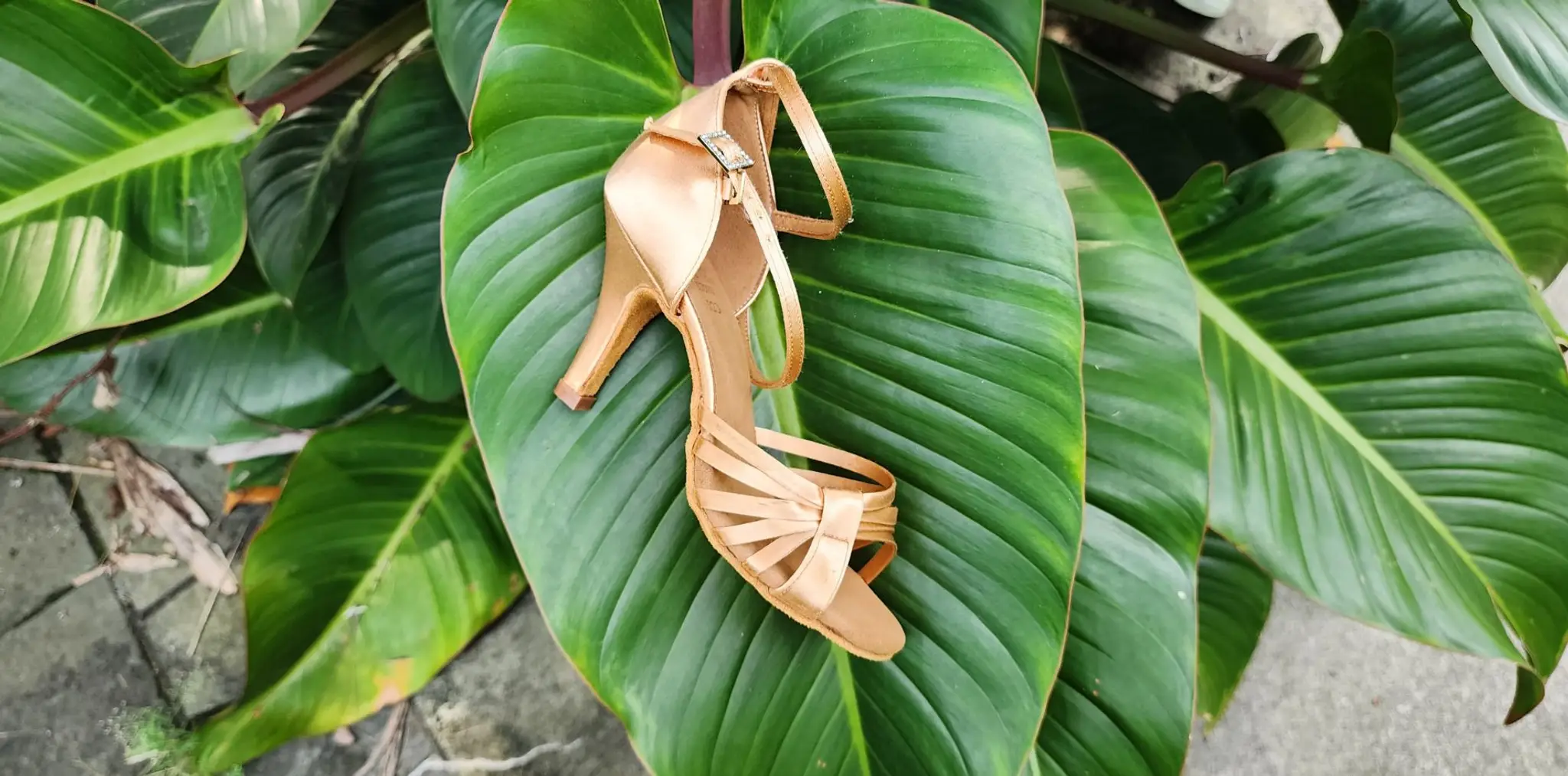 Cindini Dance International