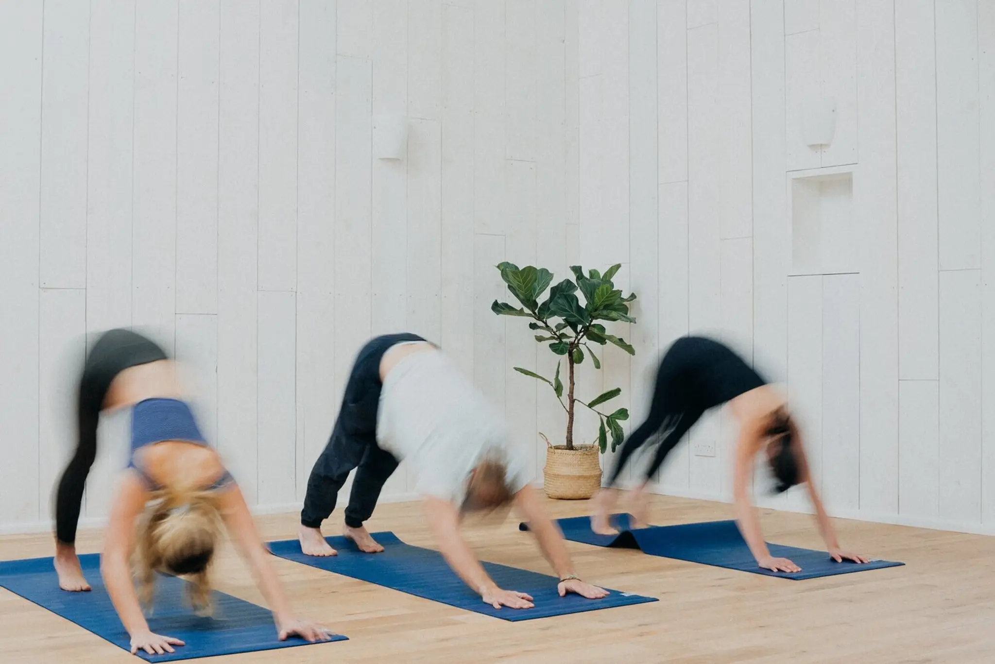 Sunshine Cafe & Yoga