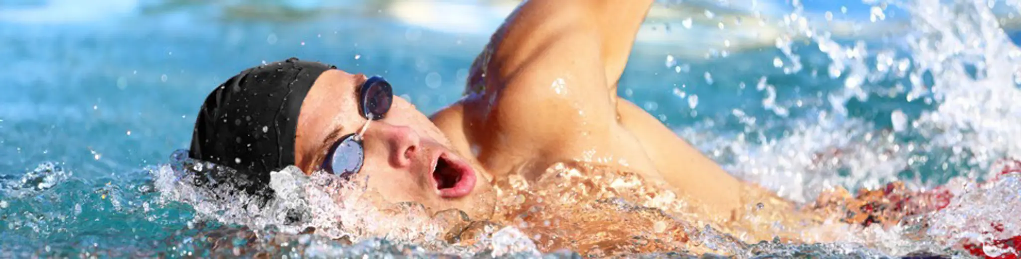 Seahorse School of Swimming