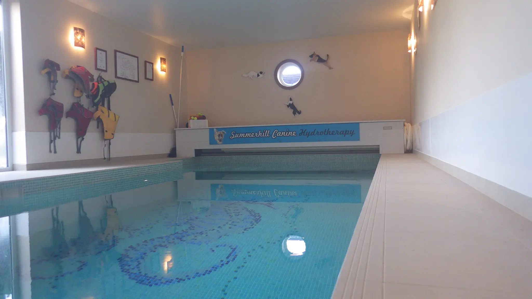 Summerhill Canine Hydrotherapy