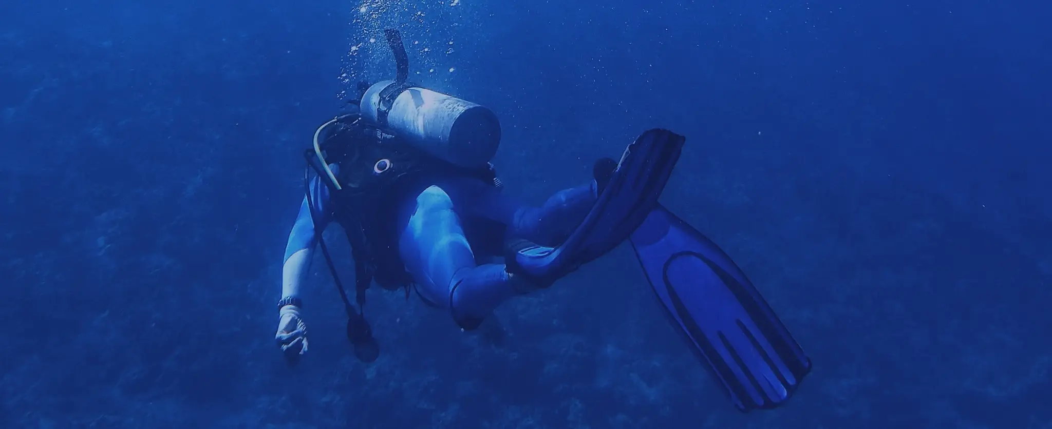 Basildon Sub Aqua - BSAC Scuba Diving Club