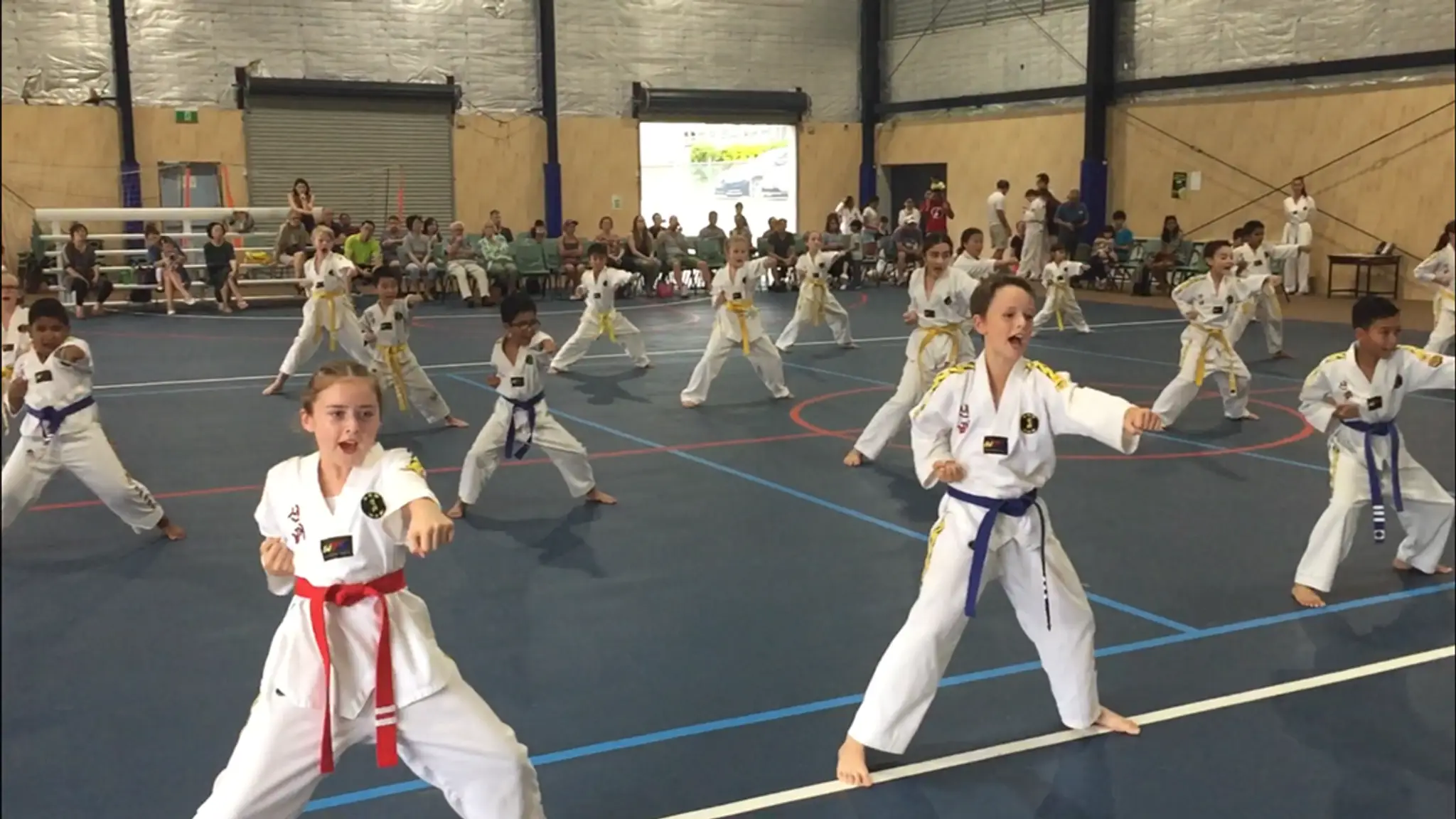 Sun Bae Taekwondo & Hapkido - Newmarket