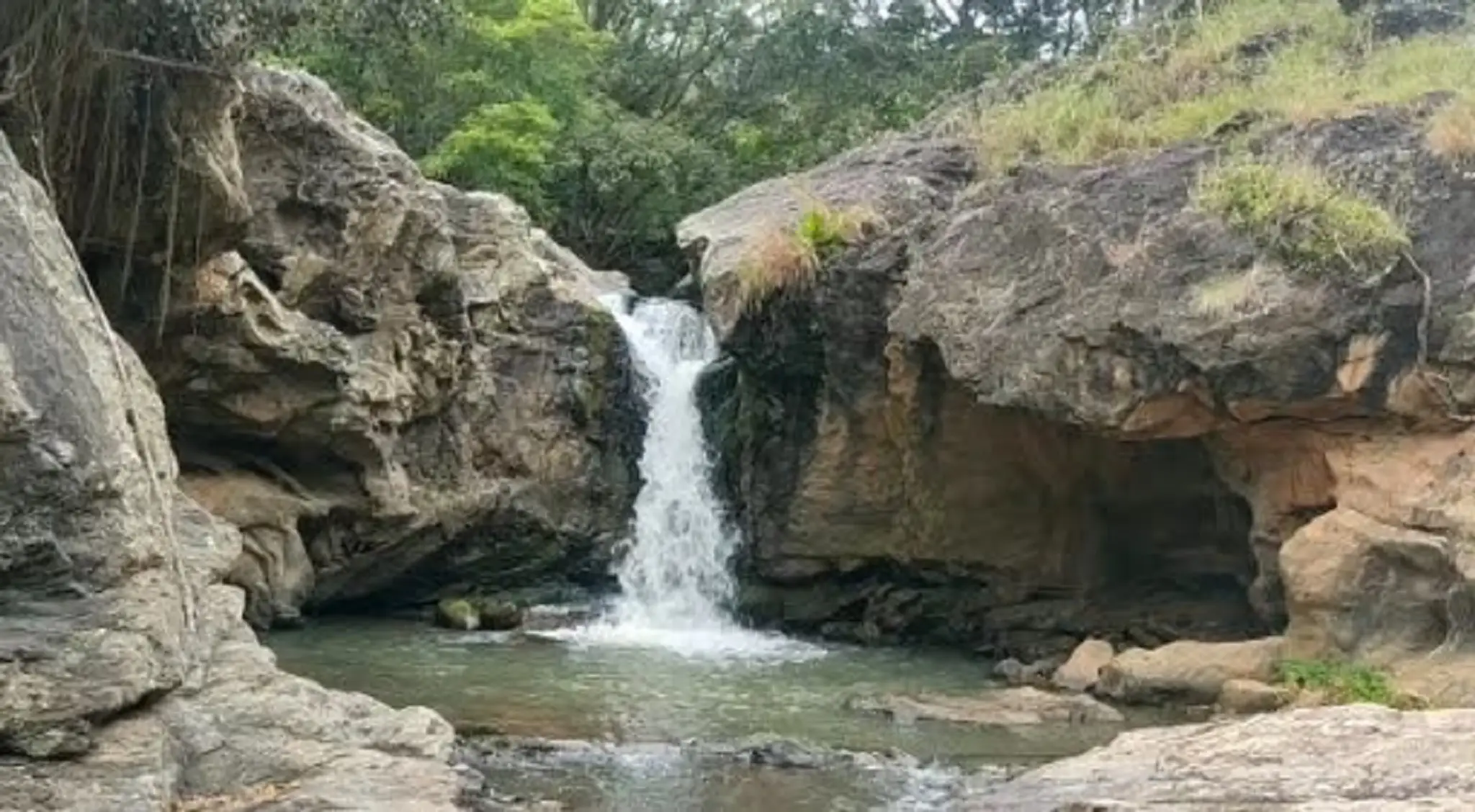 Misty Valley Resort & DevaGiri Organic Farms