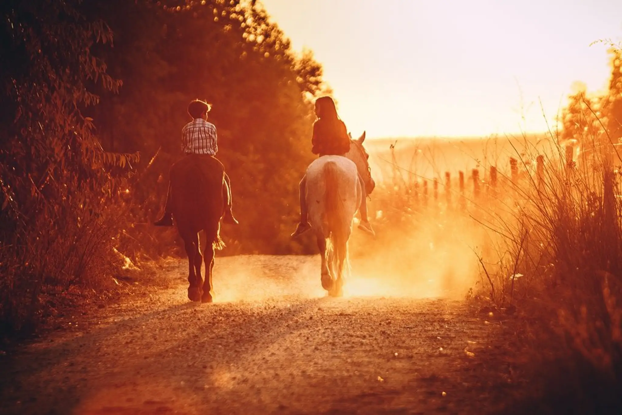Boyle Family Farm - Horseback Trail Riding/Birthday Parties/Kids Summer Camps