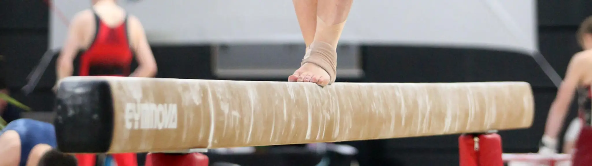 Envol Gymnique Ugine