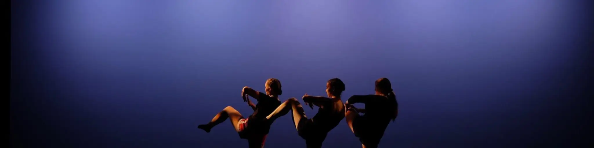 Veselka Ukrainian Dance Assn