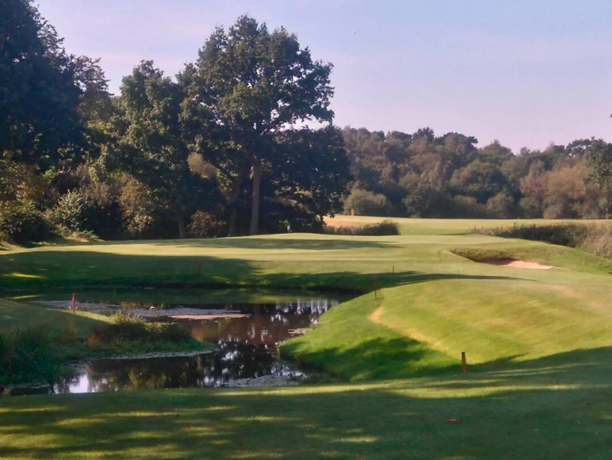 Alison Johns golf coaching
