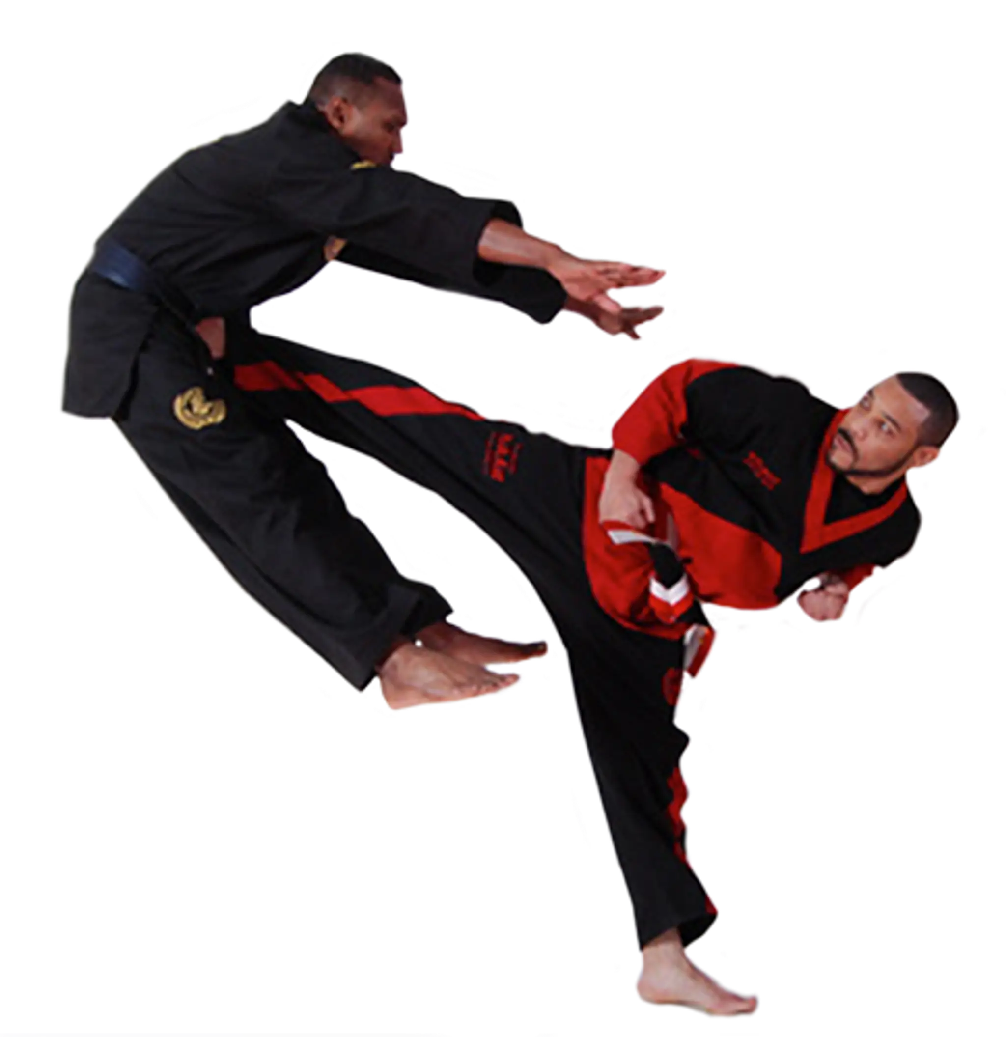 PURPLE DRAGON MARTIAL ARTS - CANADIAN HEADQUARTERS