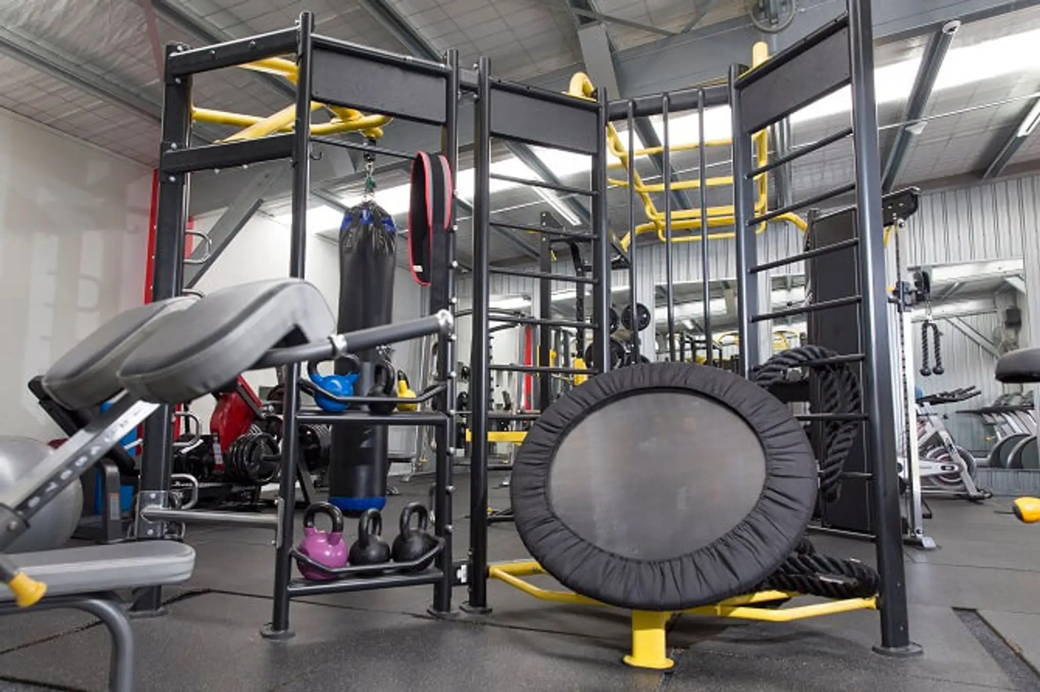 Body Mechanics Gym, Waihi