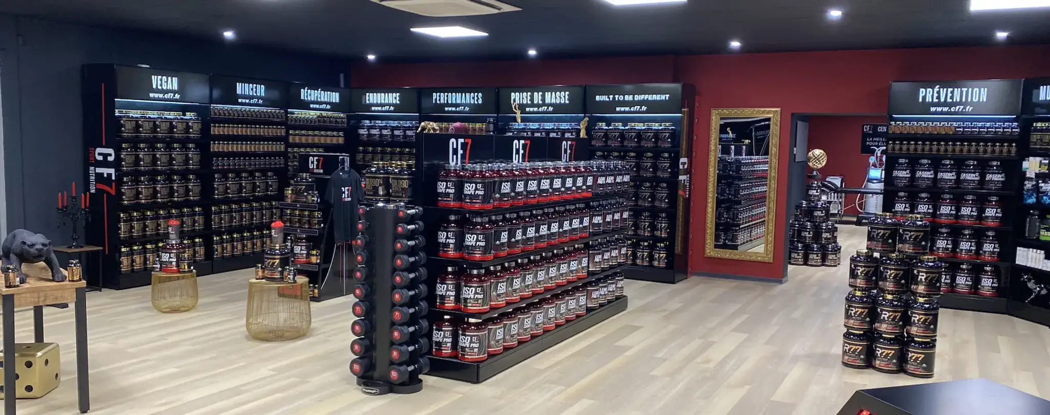 CF7 Concept Fitness | Nutrition - Coaching - Cryolipolyse - EMS | Septème Plan De Campagne