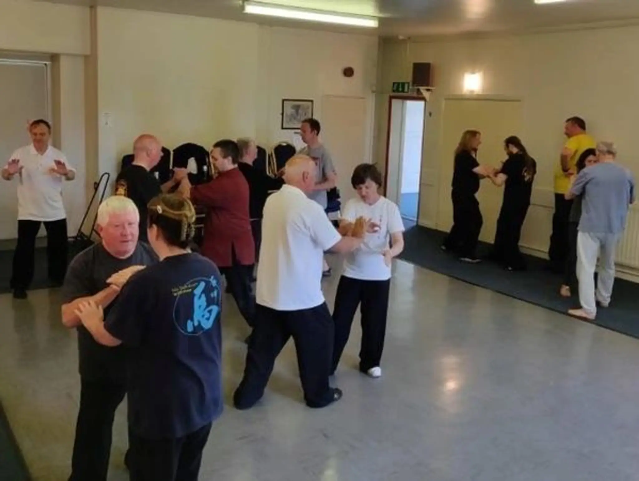 Tai Chi - ZDL Academy