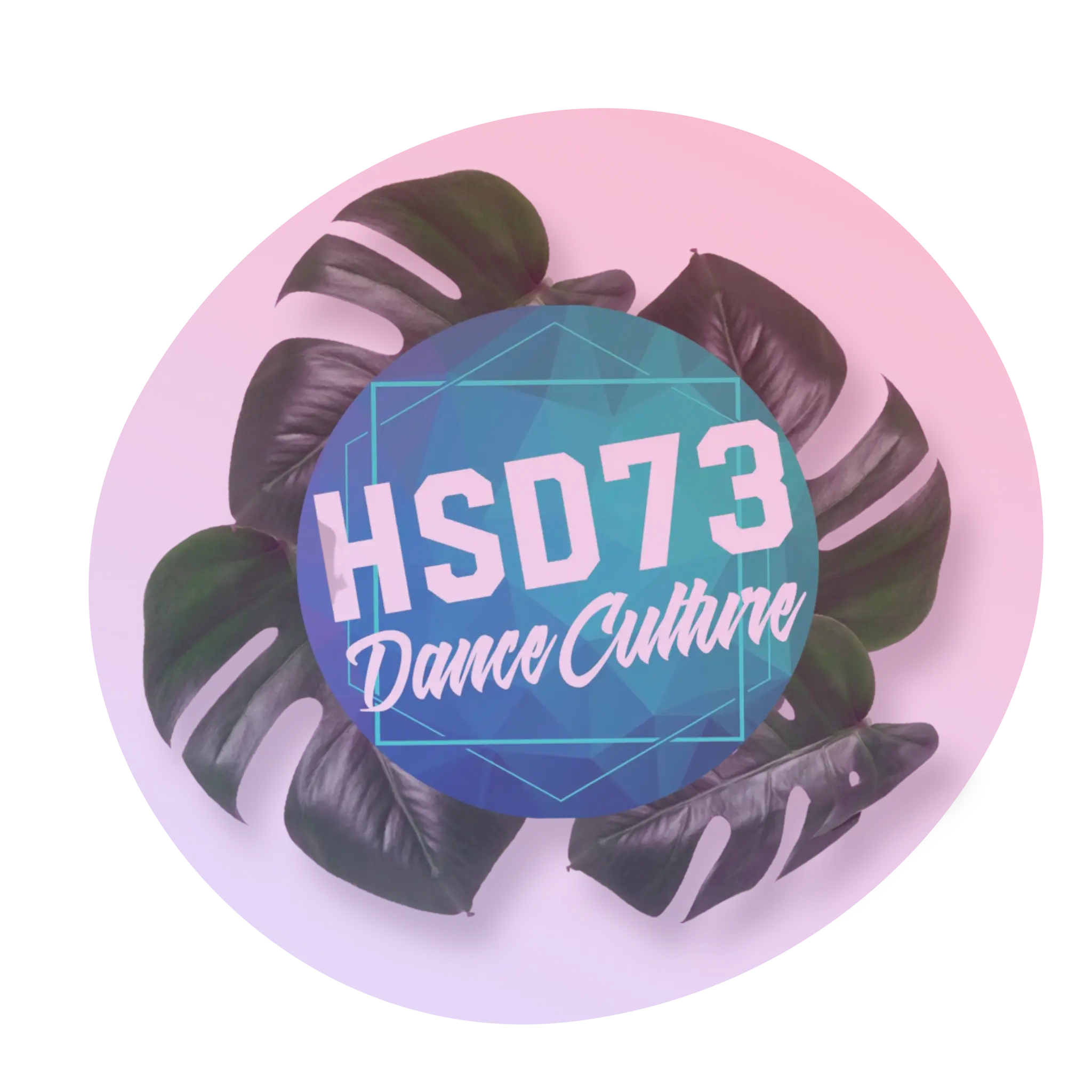 Hyde School Of Dance (HSD73)