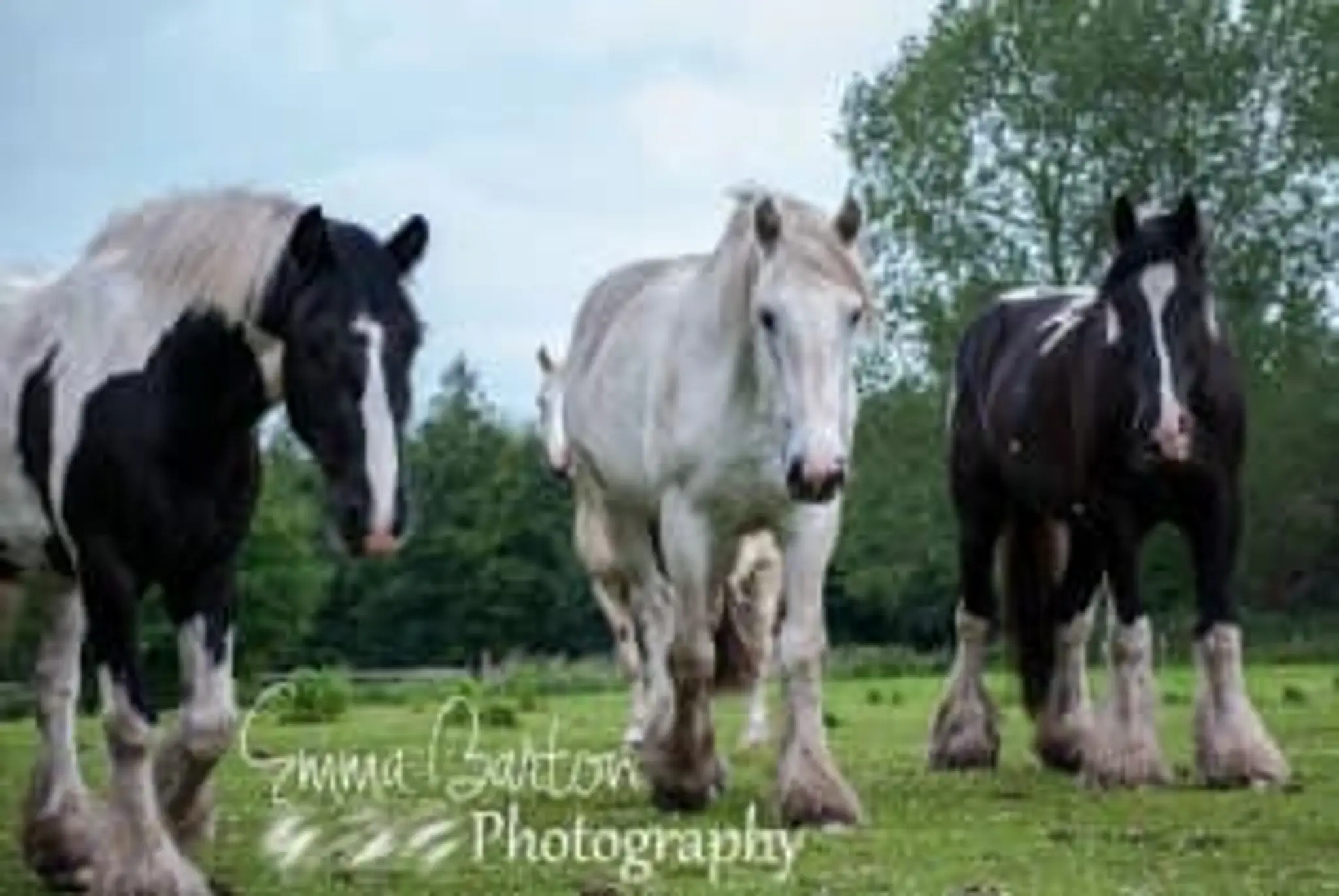 Carrington Riding Centre