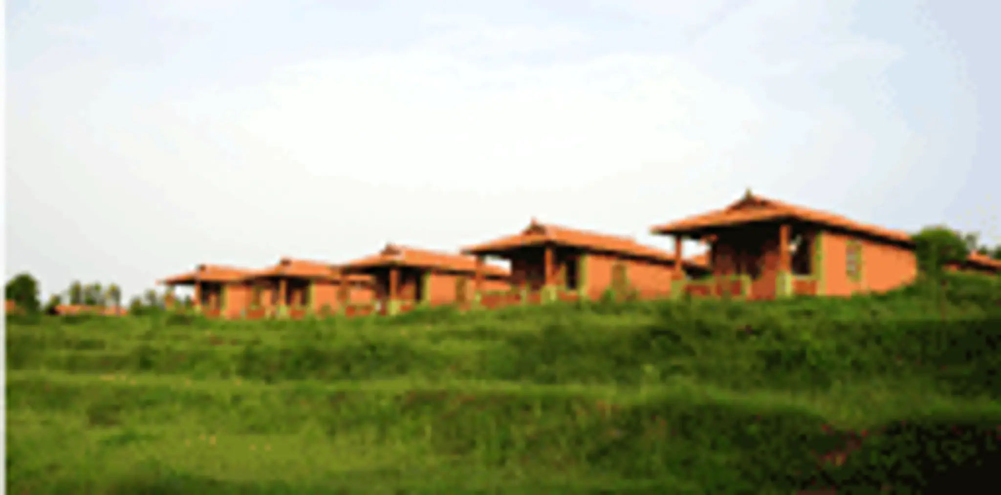 Yoga Vidya Teacher Training Retreats in Kerala