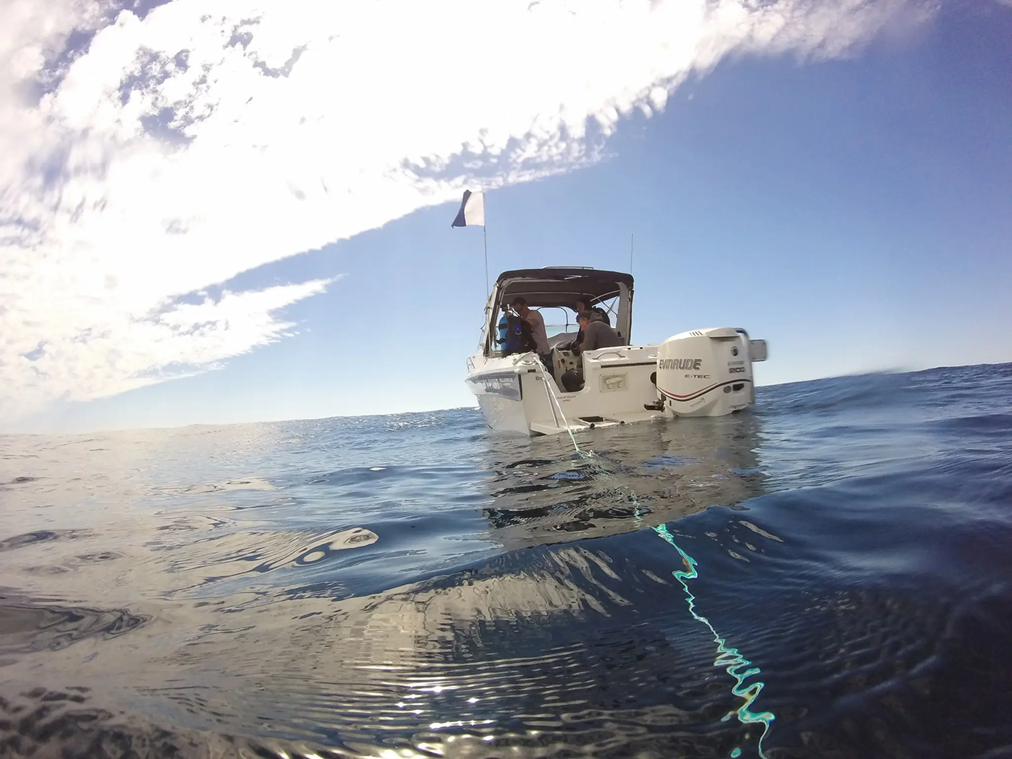 Redlands Sport Divers