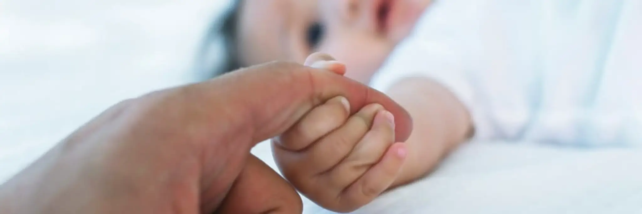Guelph Community Sports Dome