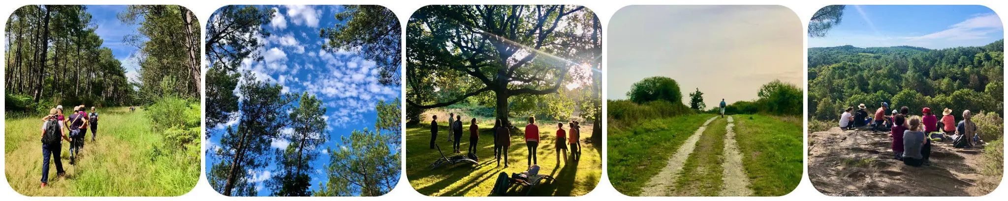 La Parenthèse : Retraites Yoga Loire-Atlantique / Bretagne, Stages Yoga & Cours Yoga Méditation, Eco-lodges