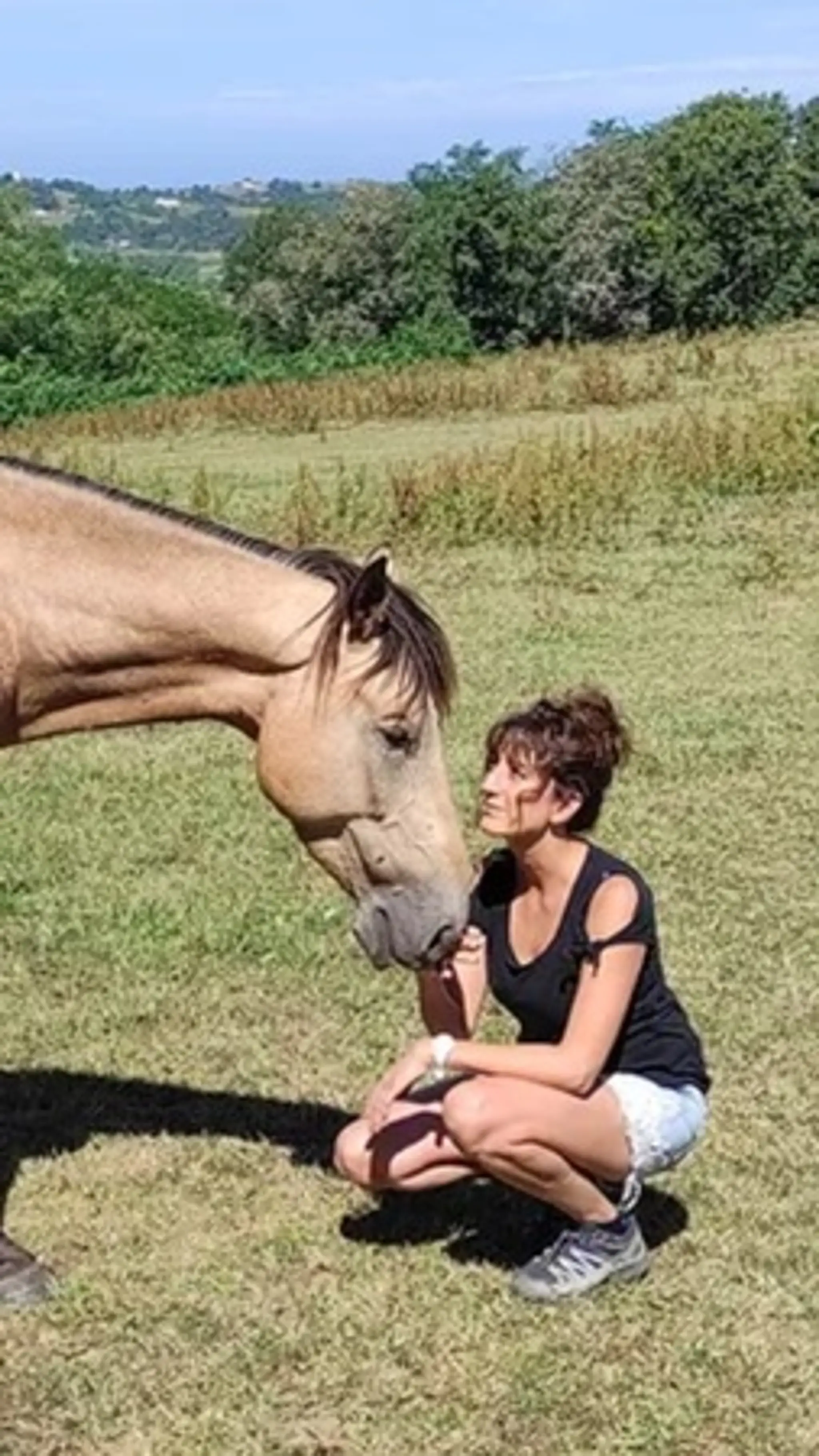 HASPARREN EQUITATION