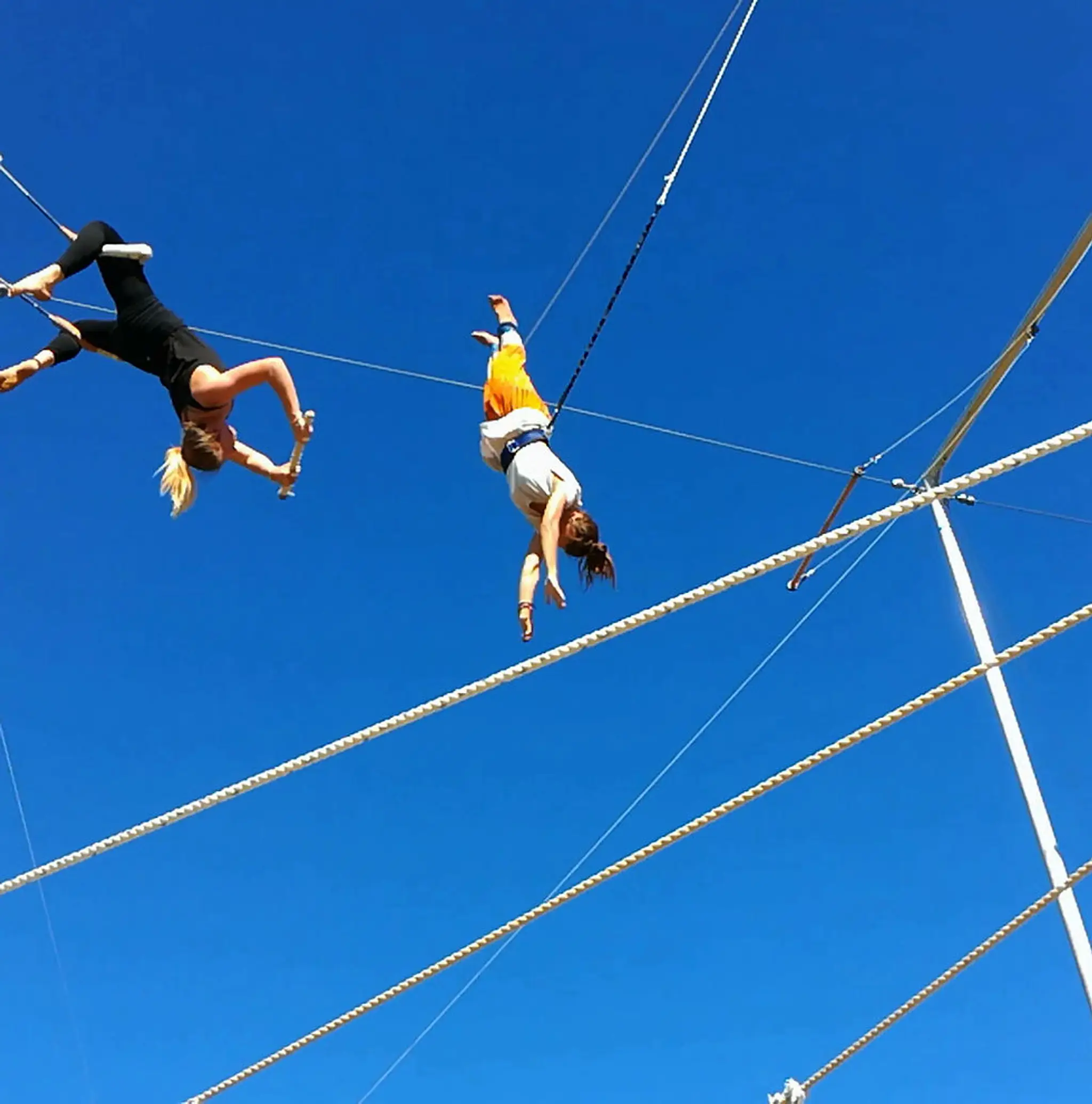 Hawkes Bay Flying Trapeze