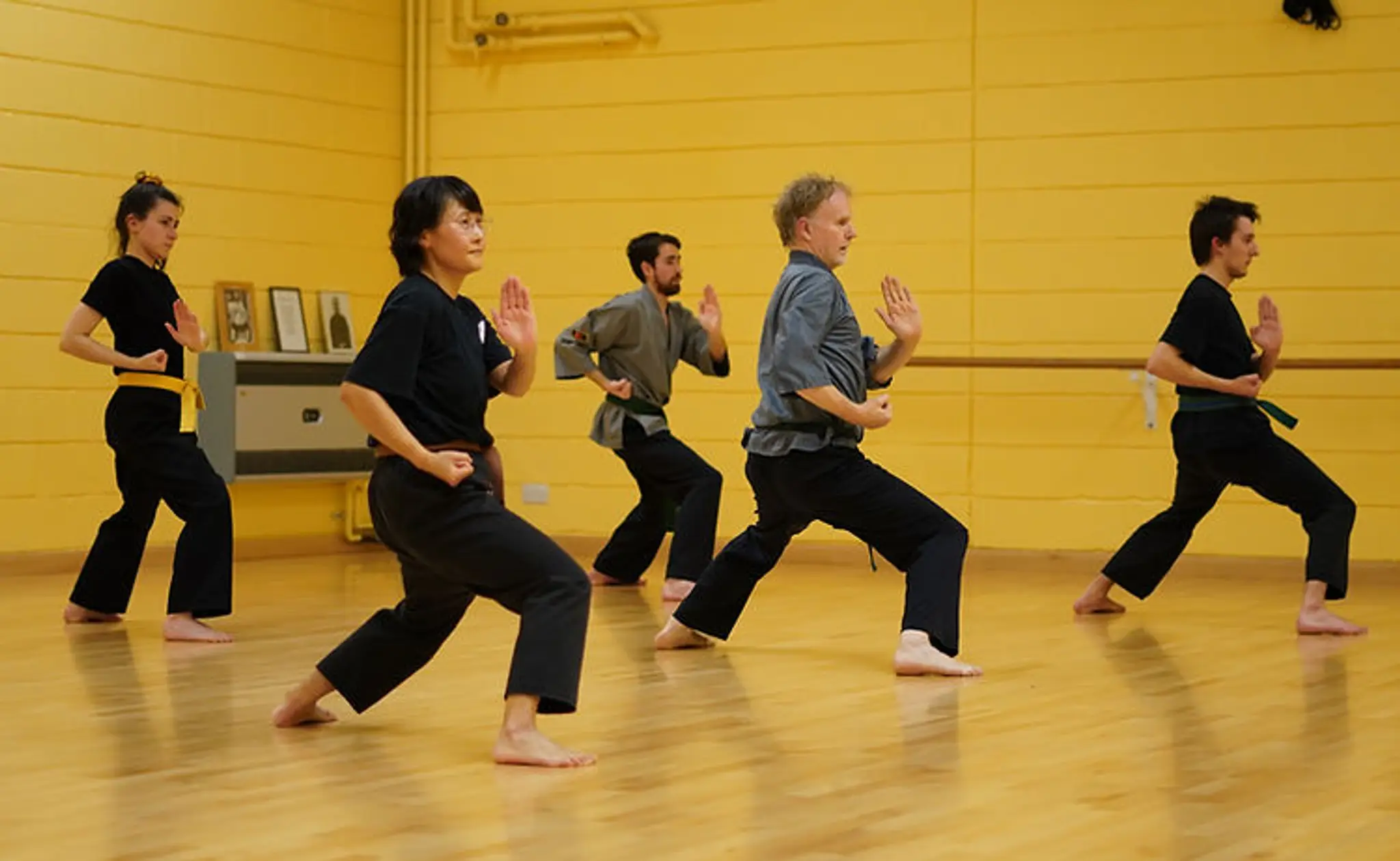 Shaolin Kung Fu Nam Pai Chuan