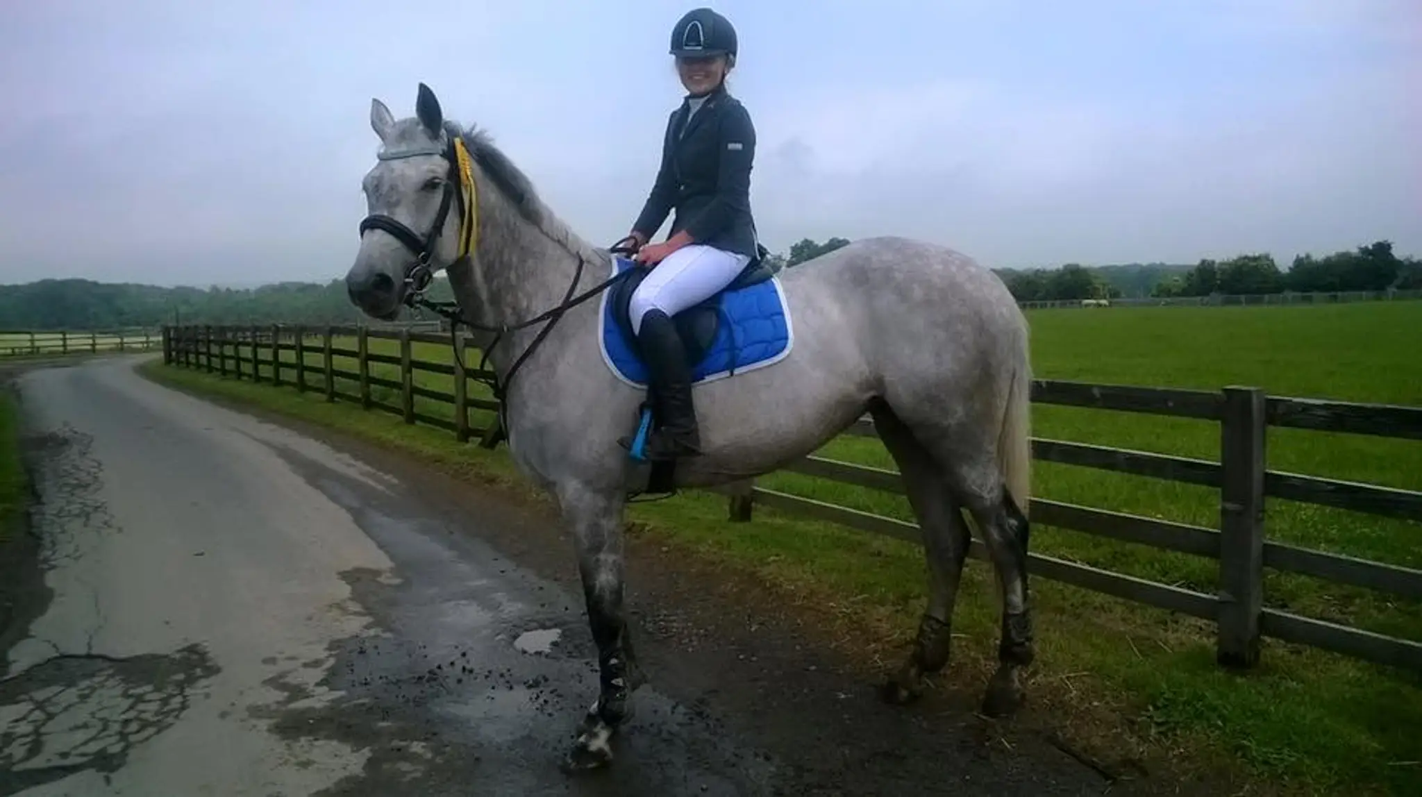 Victoria Ward Equestrian Transport
