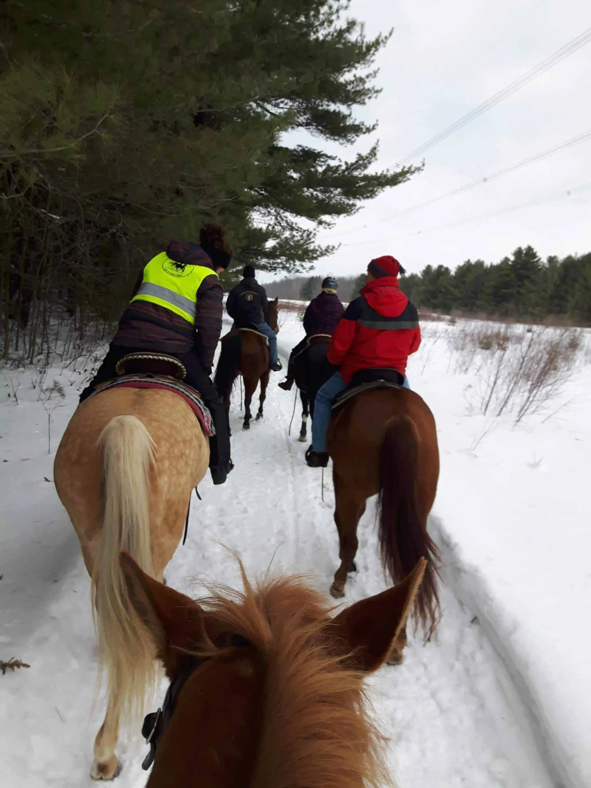 CLUB QUESTRE LES FORESTIERS