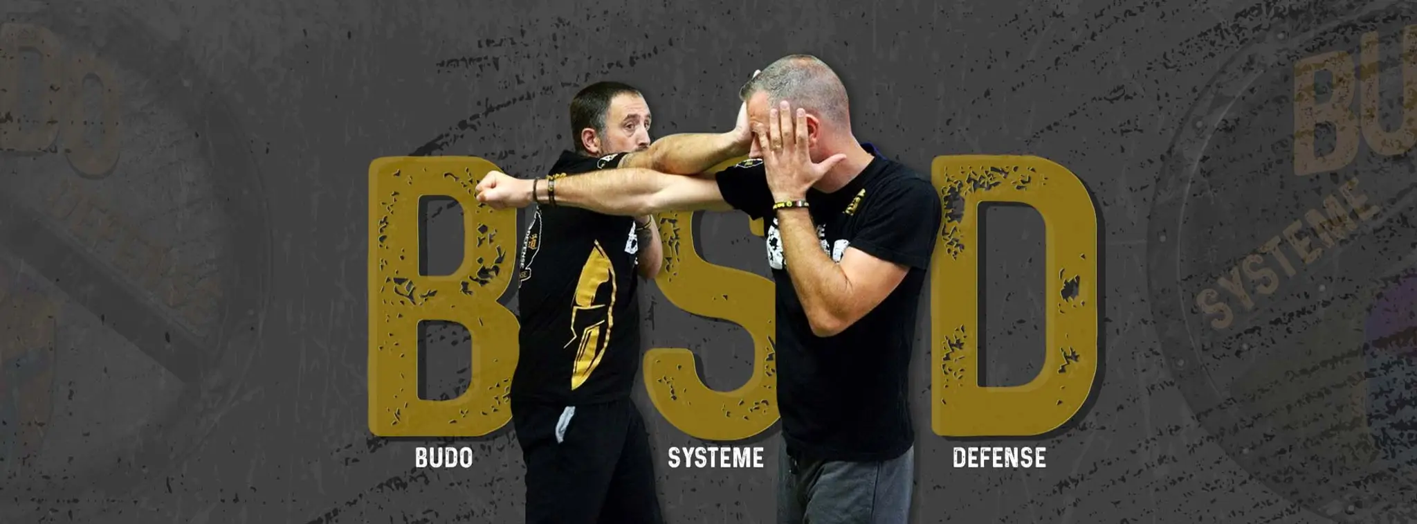 Budo Systeme Defense