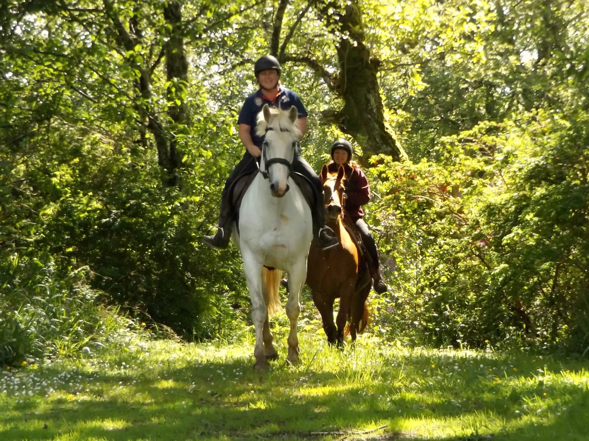 Lunga Riding Stables