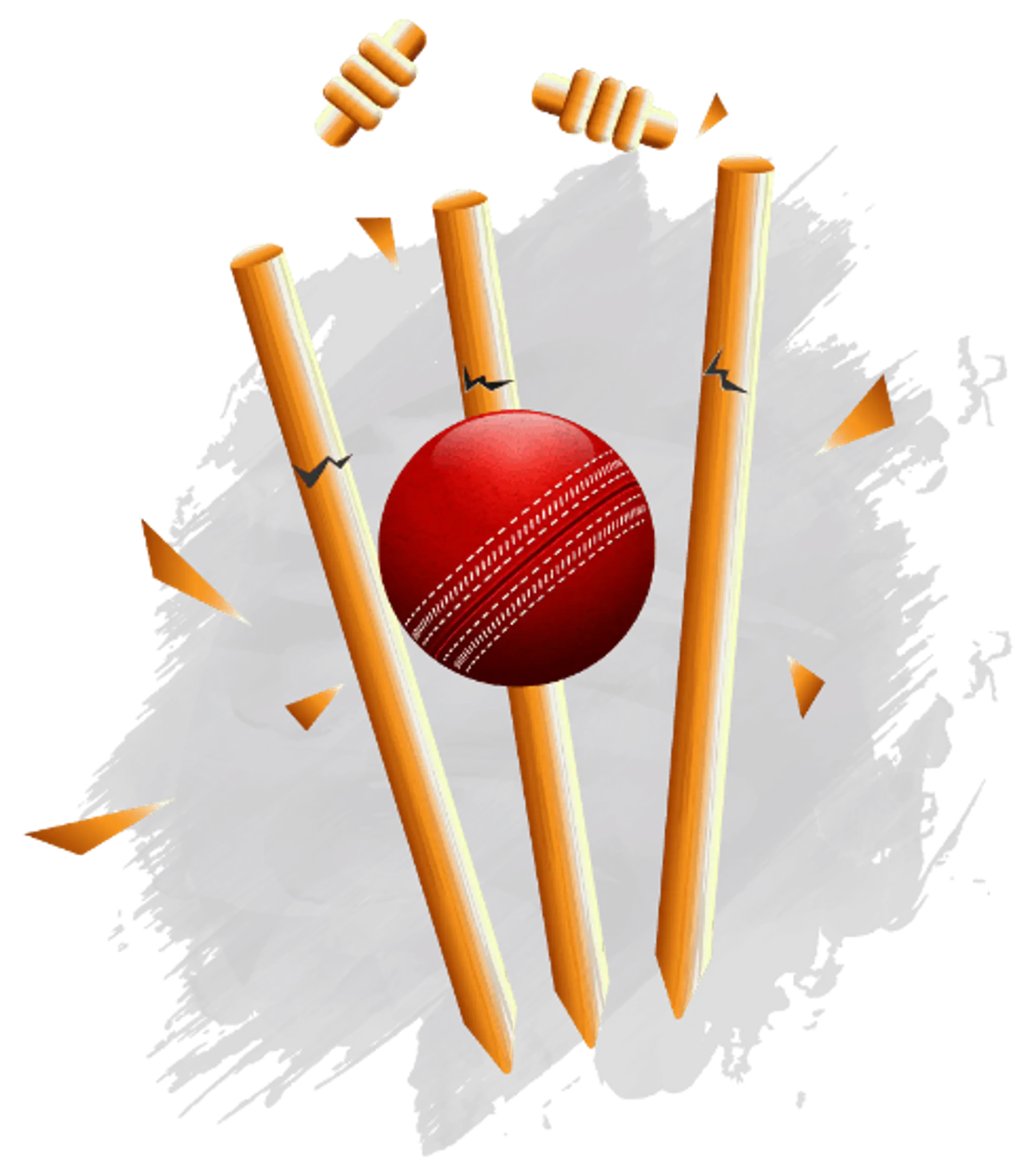 Pushp Cricket Academy