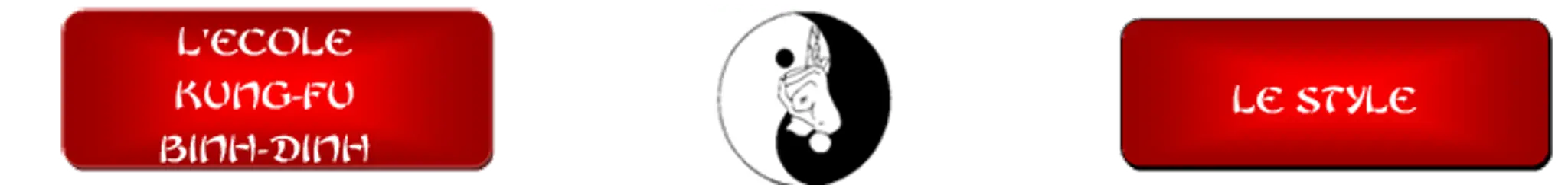 Kung Fu Binh-Dinh Bordeaux