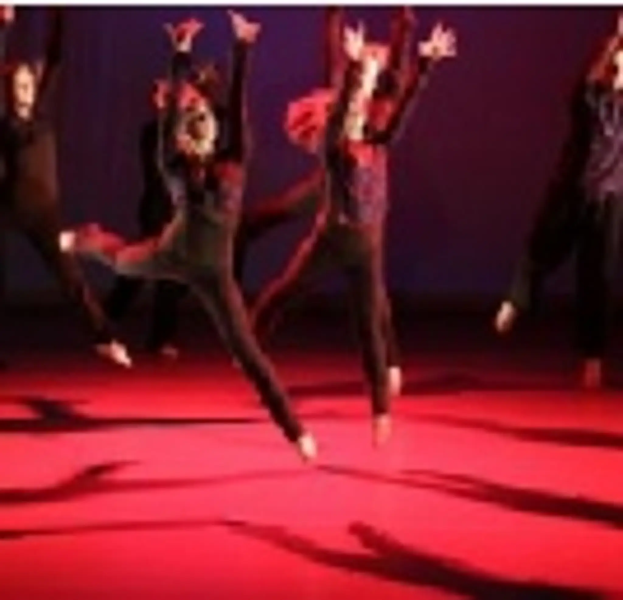 Lantern Dance Theatre School