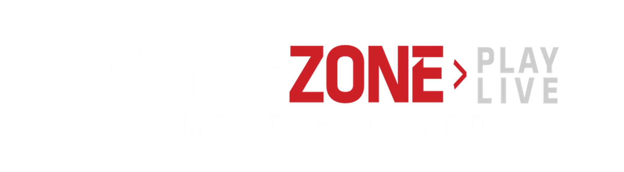 Newcastle Laser Tag 2 U